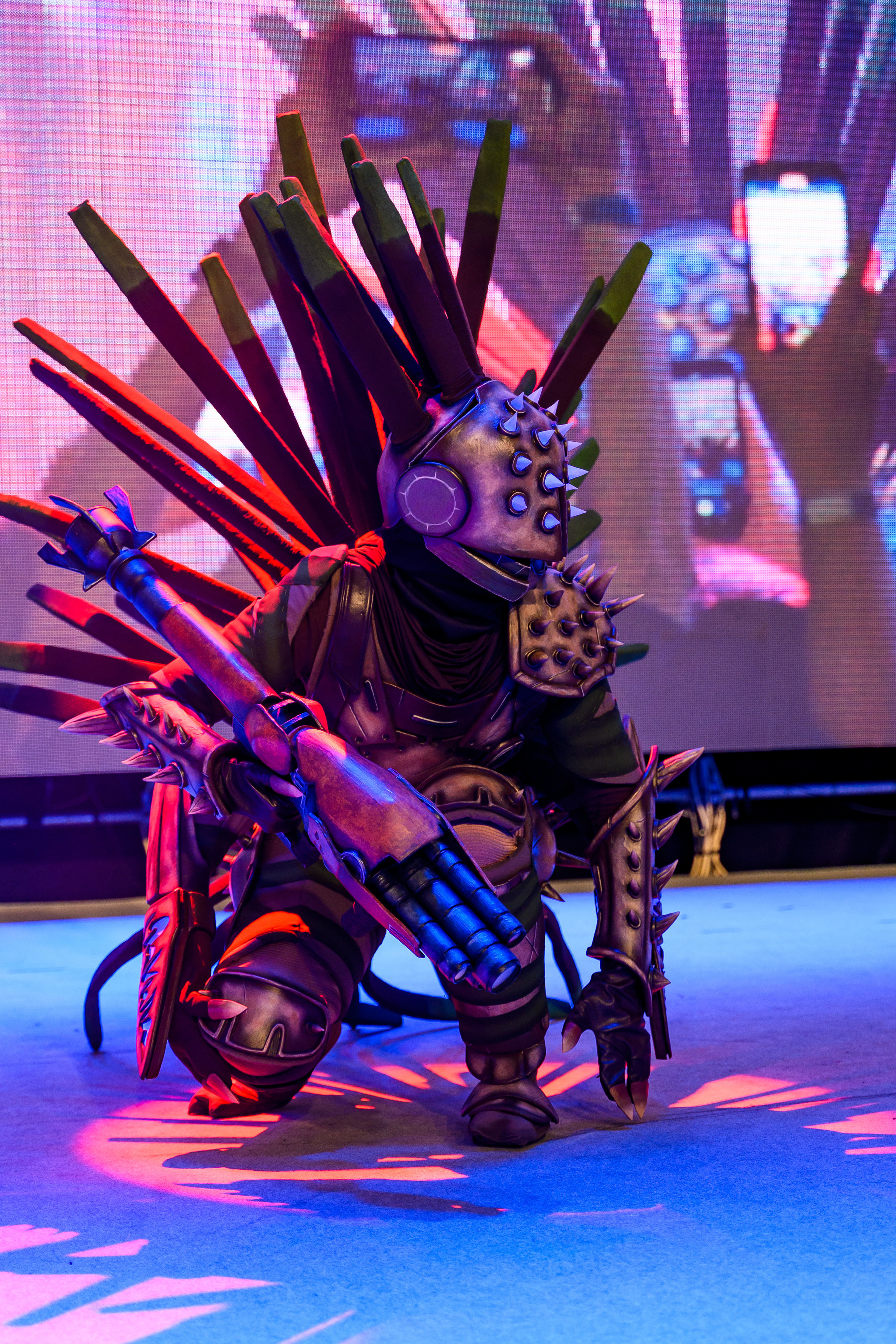 Эпик кон. Свадебный и семейный фотограф Максим Сорокин