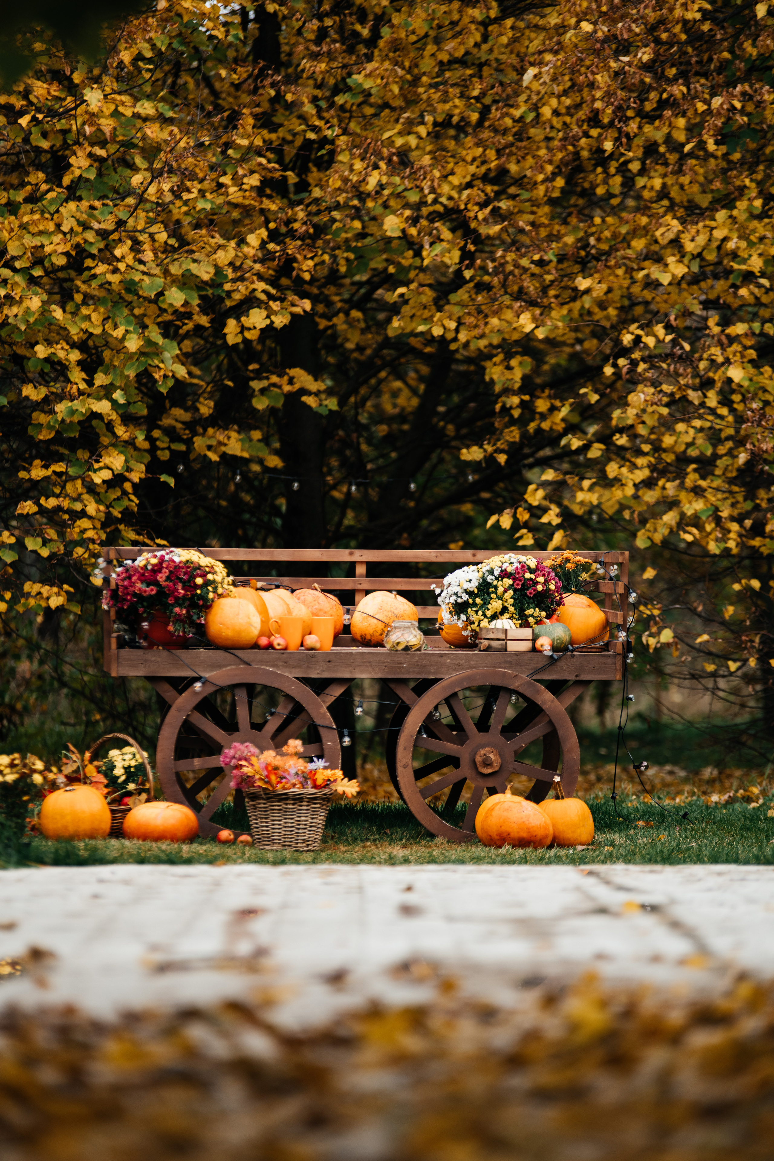 Осенний фото проект. Свадебный и семейный фотограф Максим Сорокин