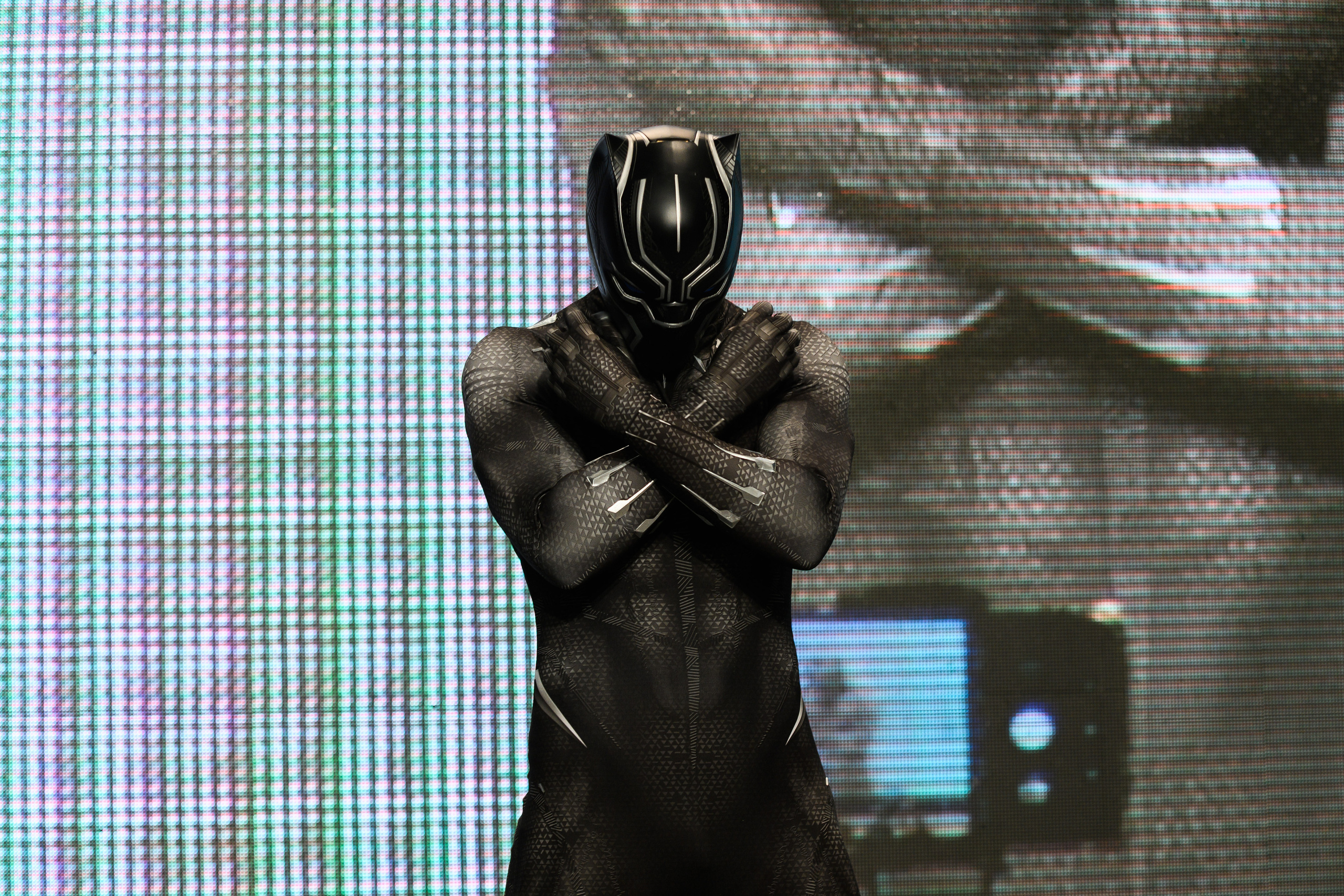 Эпик кон. Свадебный и семейный фотограф Максим Сорокин