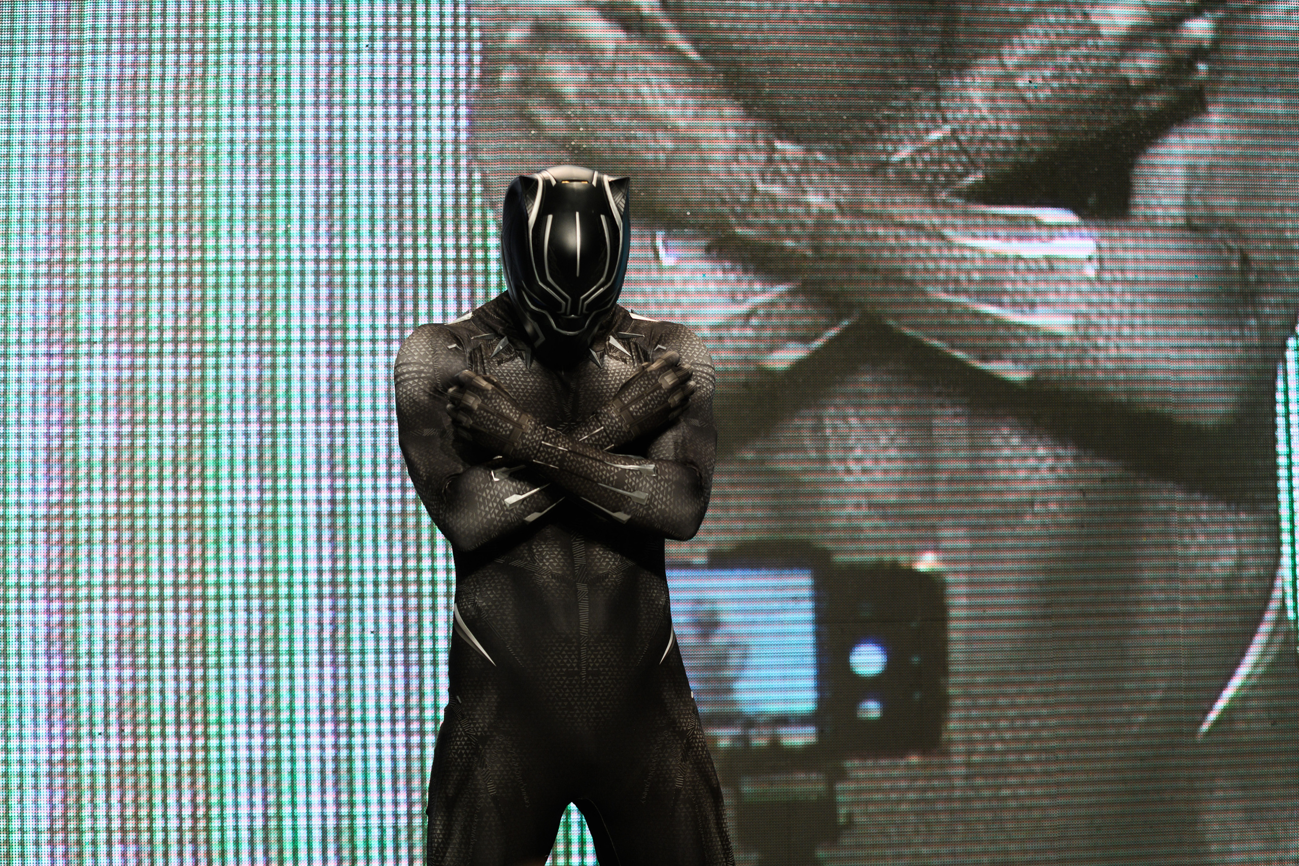 Эпик кон. Свадебный и семейный фотограф Максим Сорокин