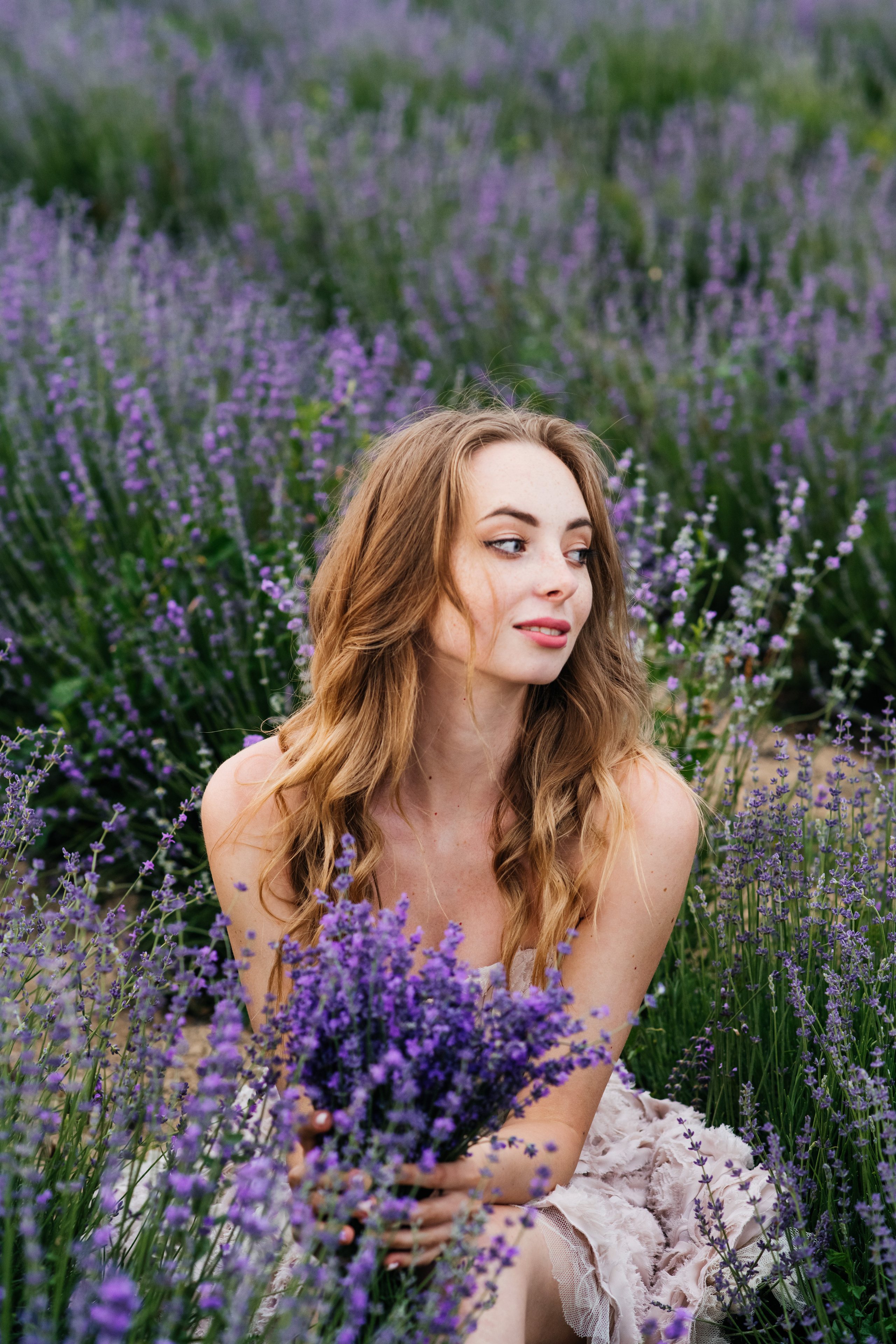 Лаванда. Свадебный и семейный фотограф Максим Сорокин