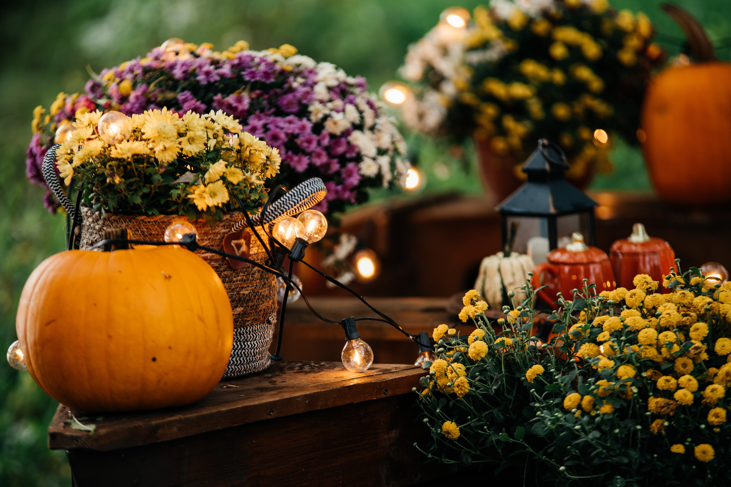 Осенний фото проект. Свадебный и семейный фотограф Максим Сорокин