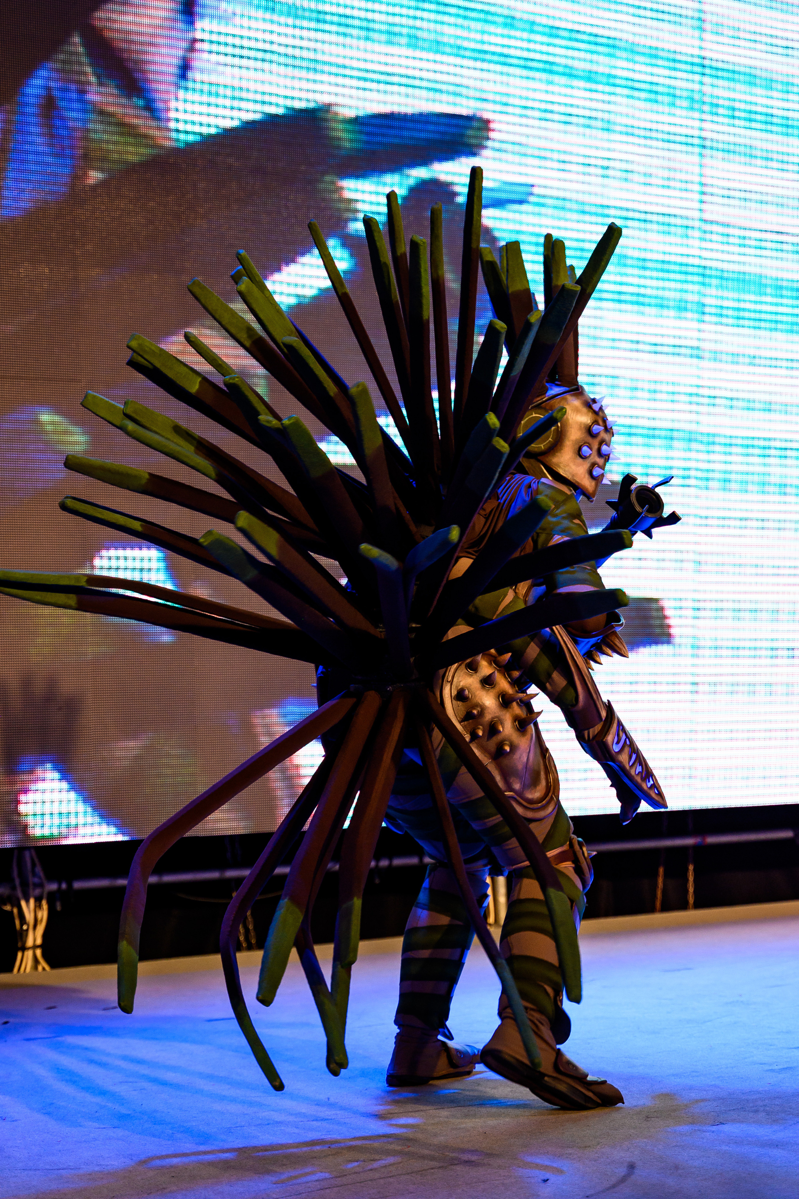 Эпик кон. Свадебный и семейный фотограф Максим Сорокин