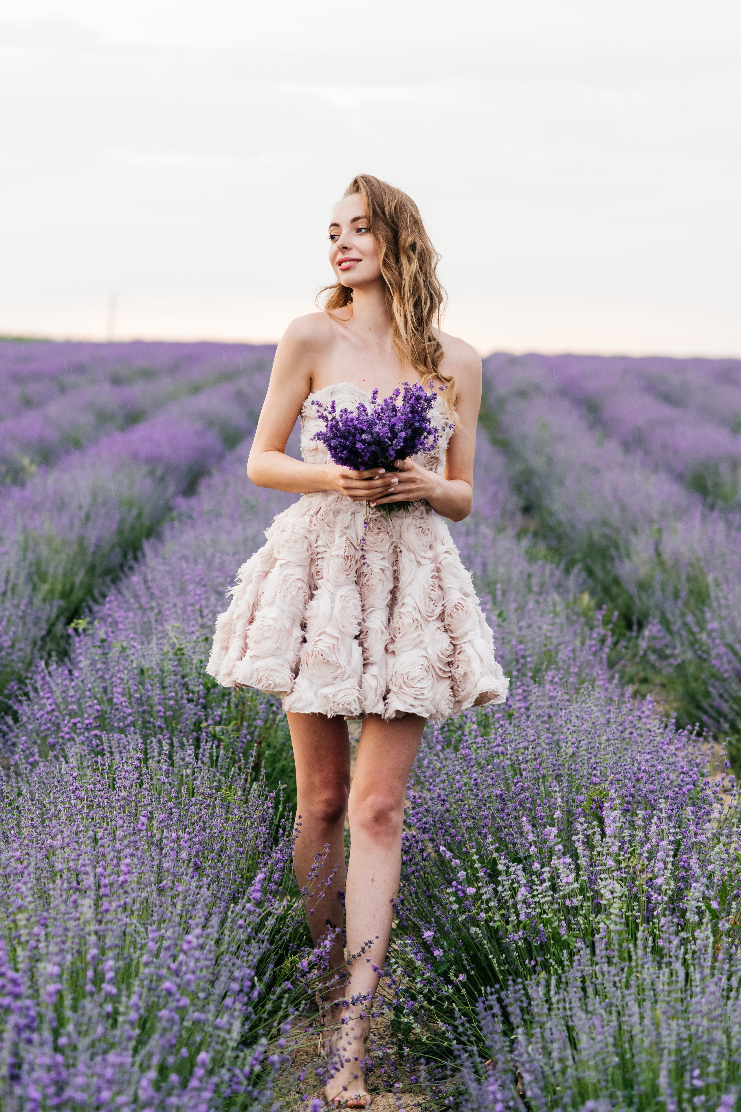 Лаванда. Свадебный и семейный фотограф Максим Сорокин
