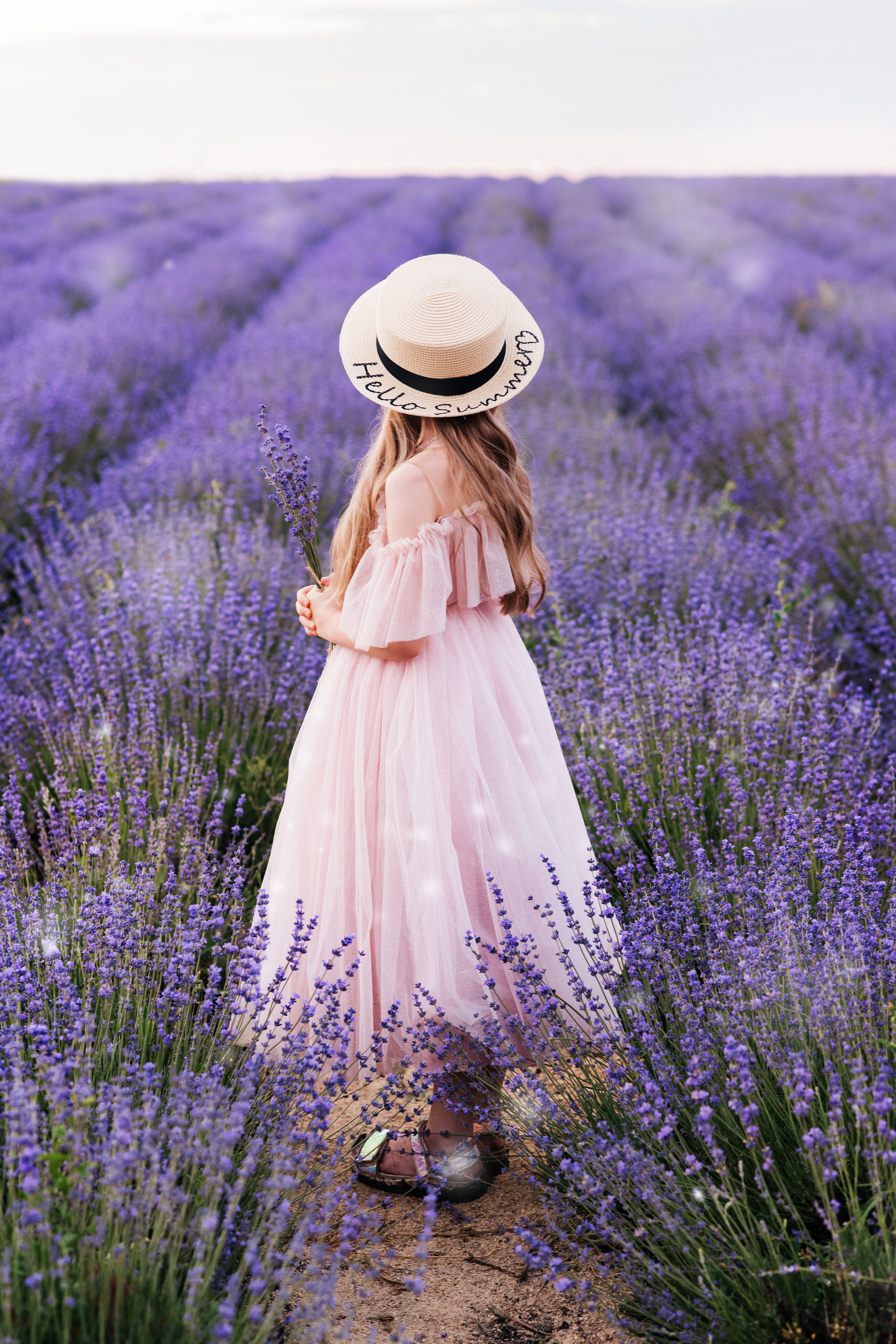 Лаванда. Свадебный и семейный фотограф Максим Сорокин