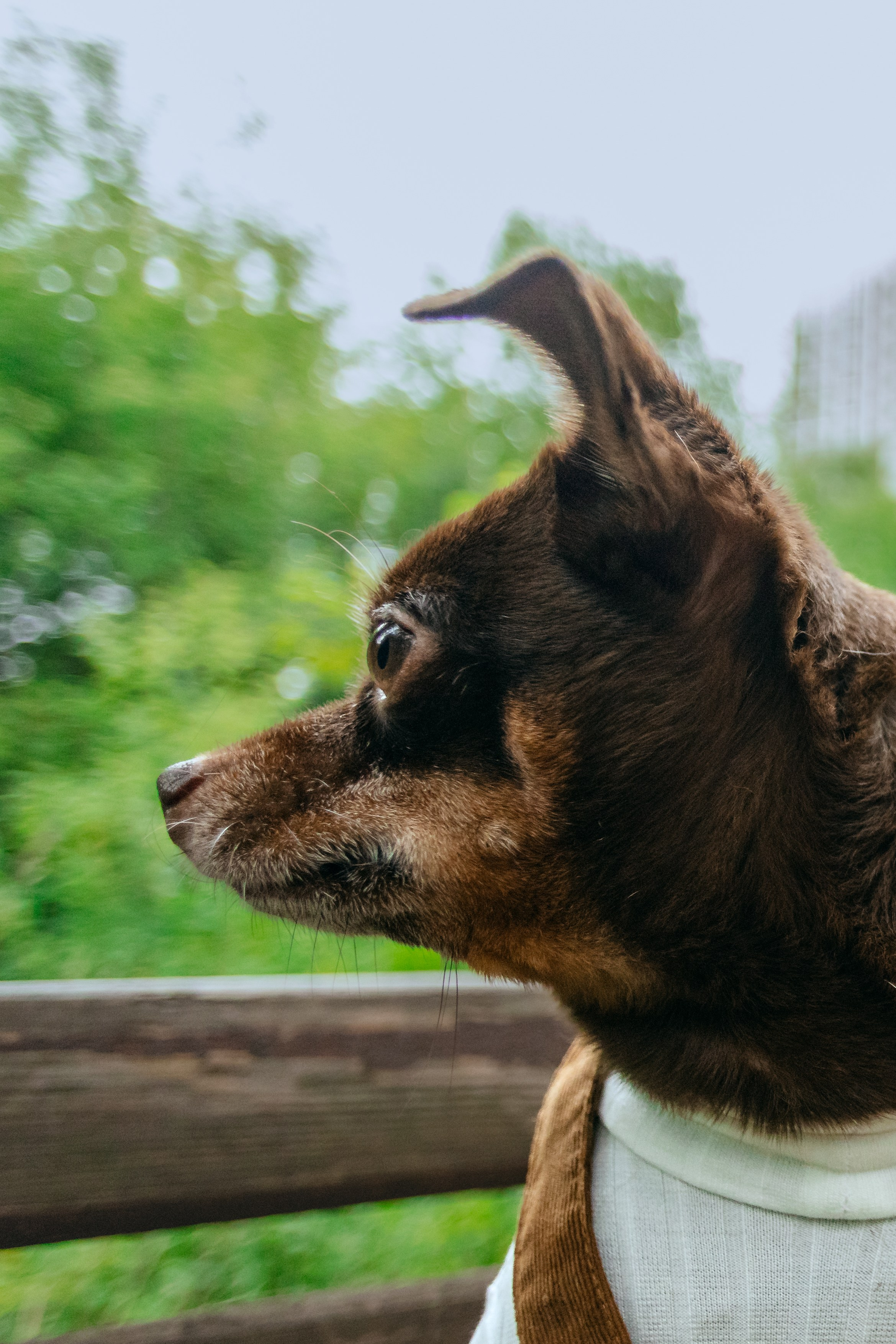 Юля и Леонид. Фотограф-анималист Татьяна Степанова