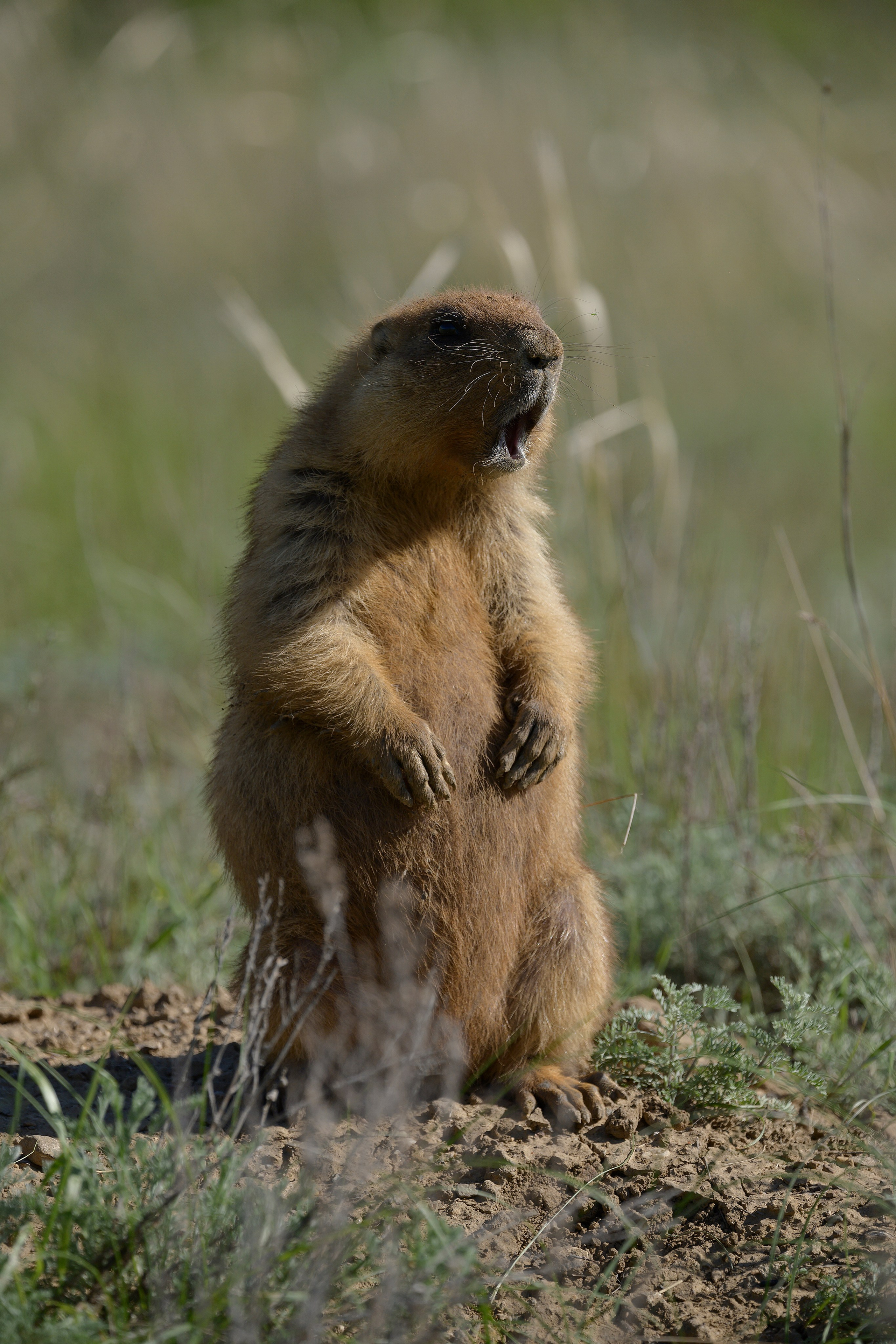 Оренбуржье. Портретный фотограф в Челябинске Катерина Руди