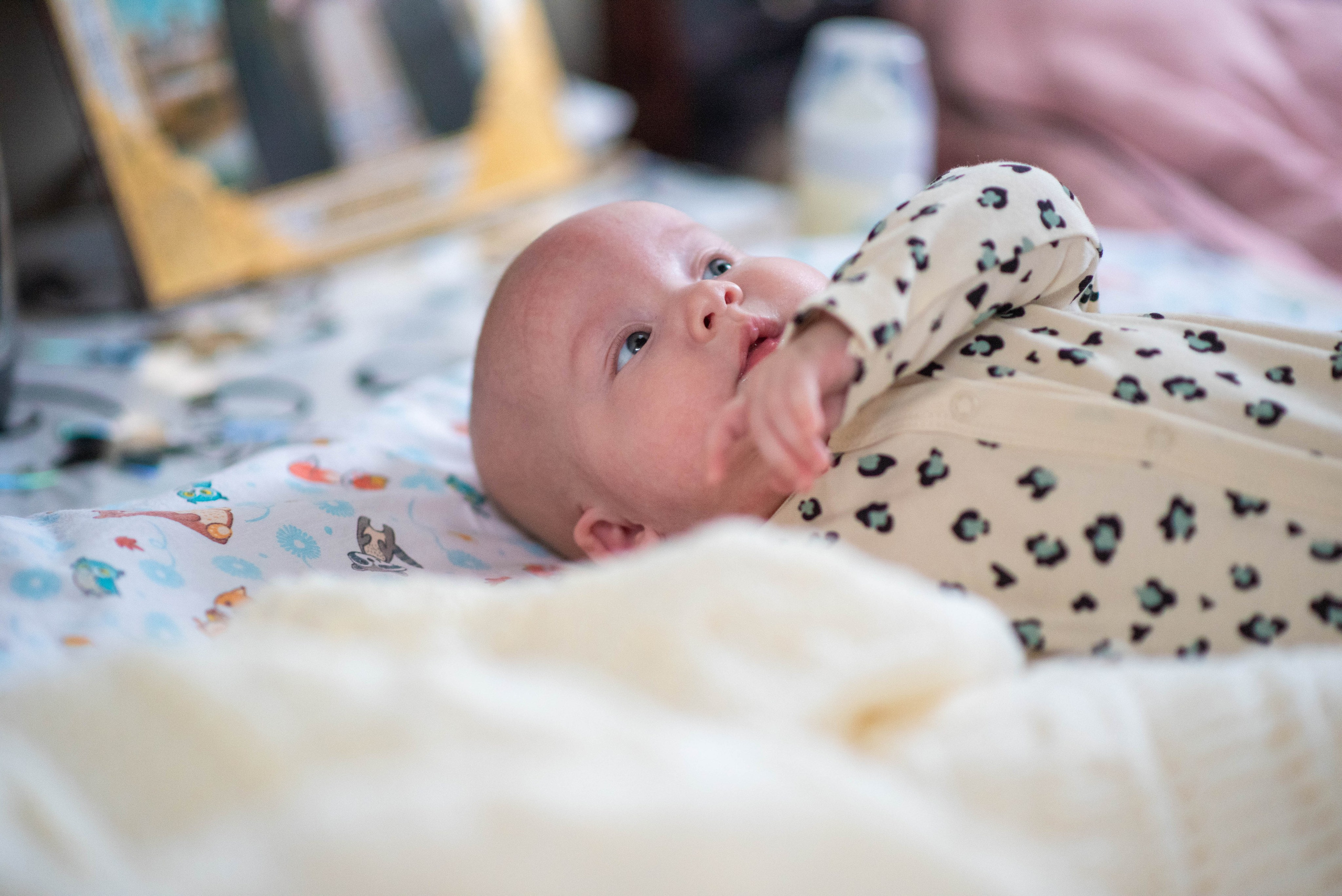 Отзывы. Фотограф Пенза Михаил Реховский