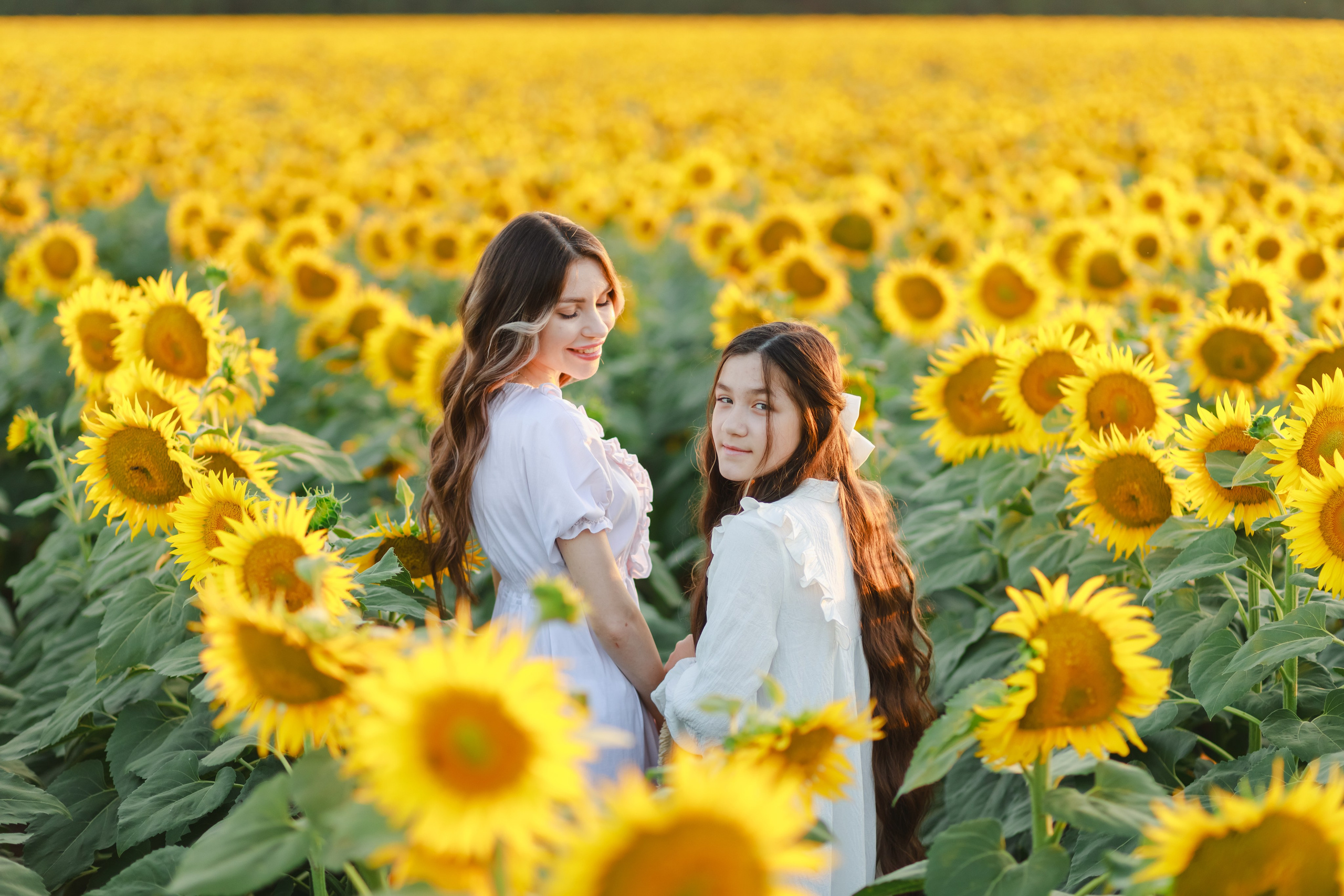 Евгения и Кира. Поле подсолнухов. Детский и семейный фотограф в Краснодаре Альбина Морозова