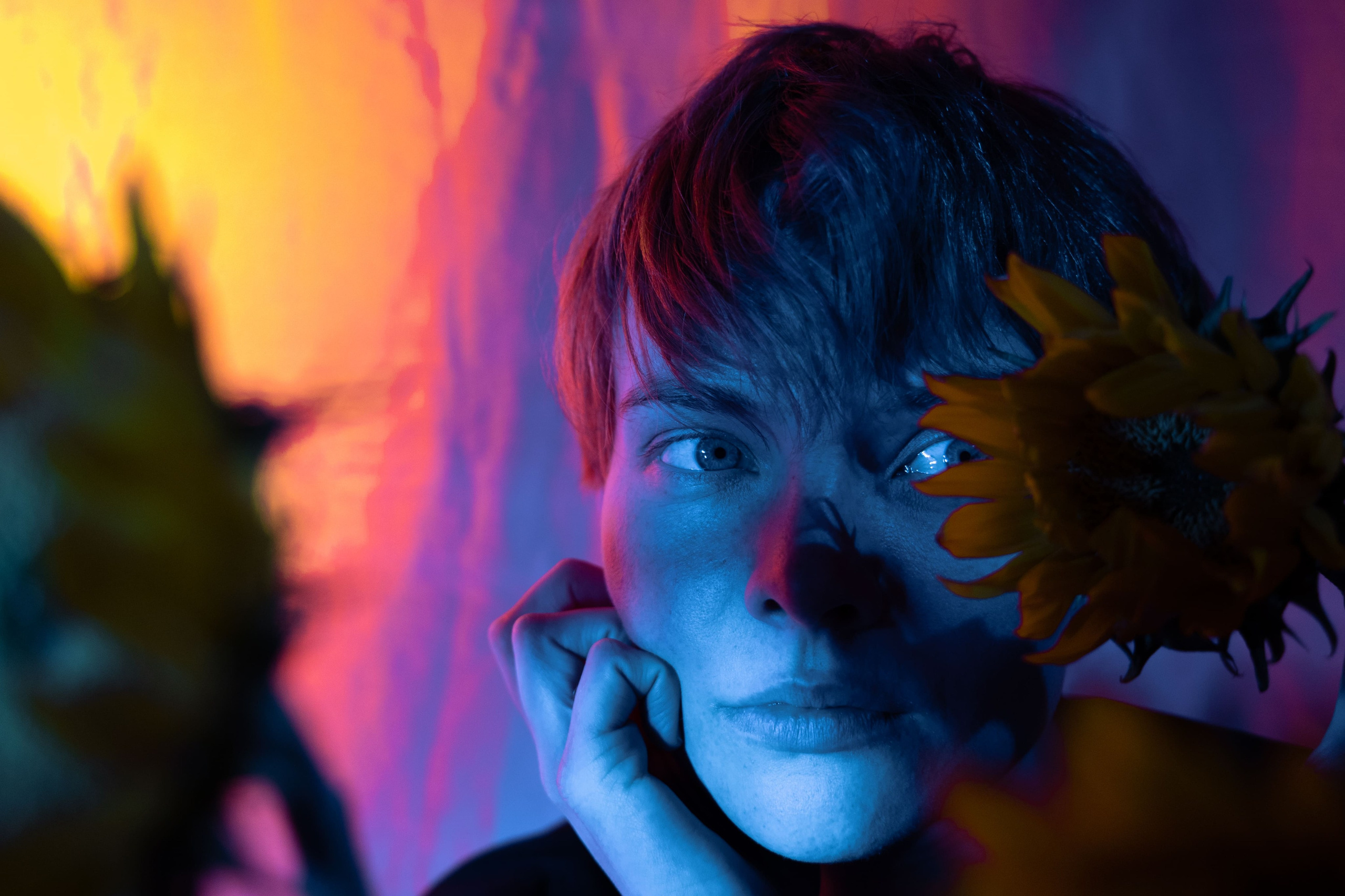 Inside the Noise. Dk