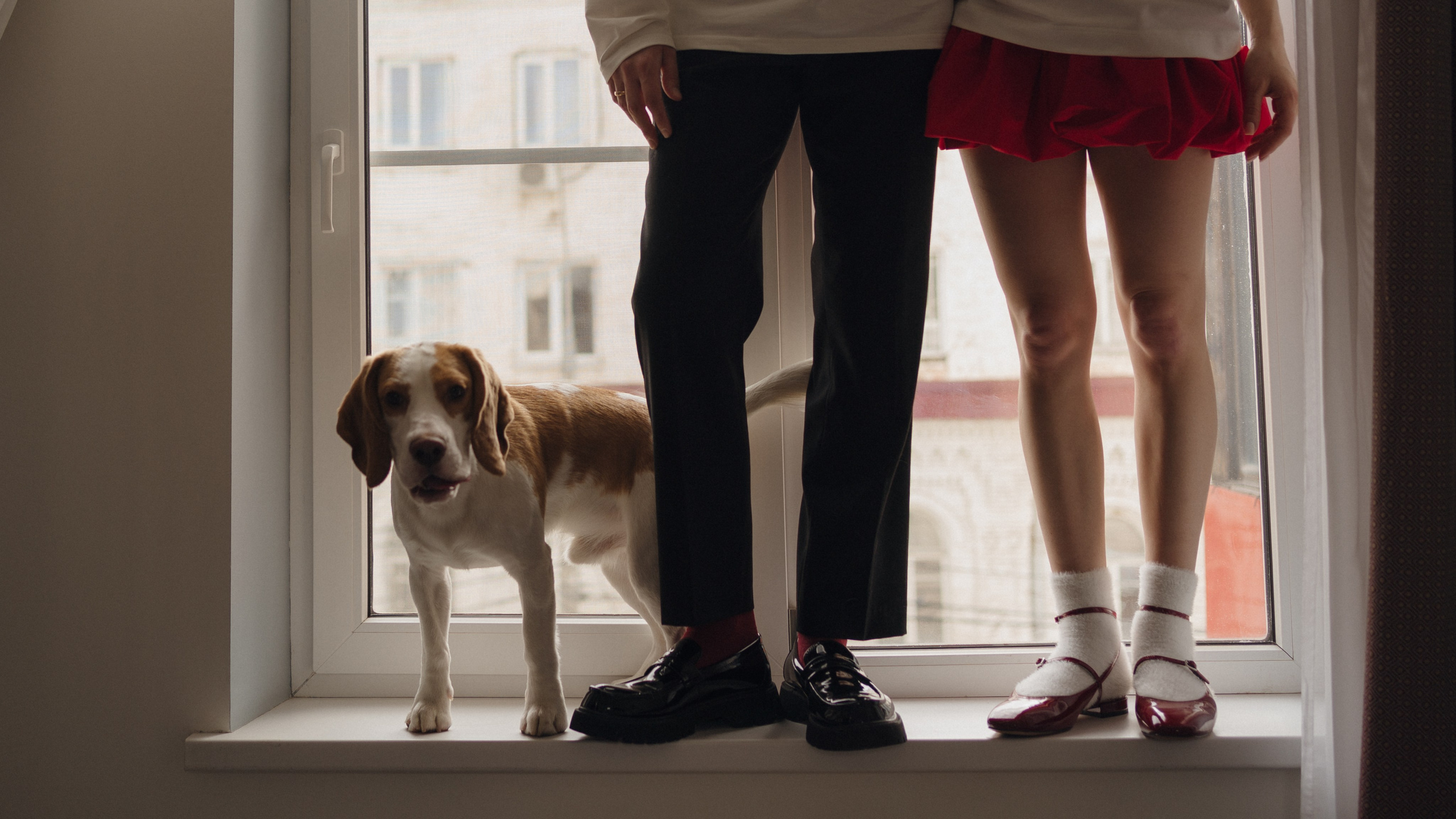 Amore more. Свадебный фотограф в Краснодаре и Сочи Винидиктова Екатерина