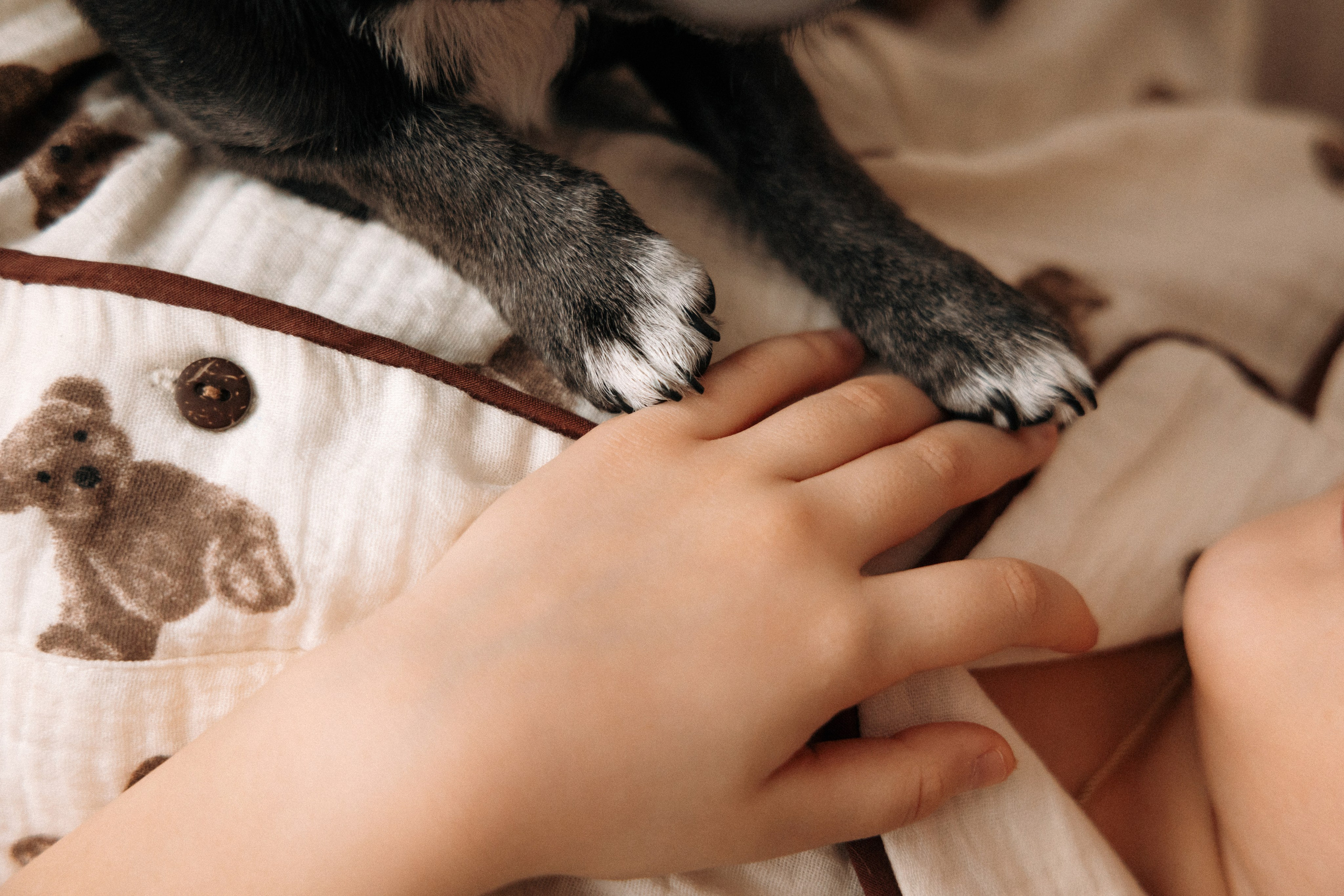 Самира, Диана, Элина. Фотограф Юлия Абдульмянова