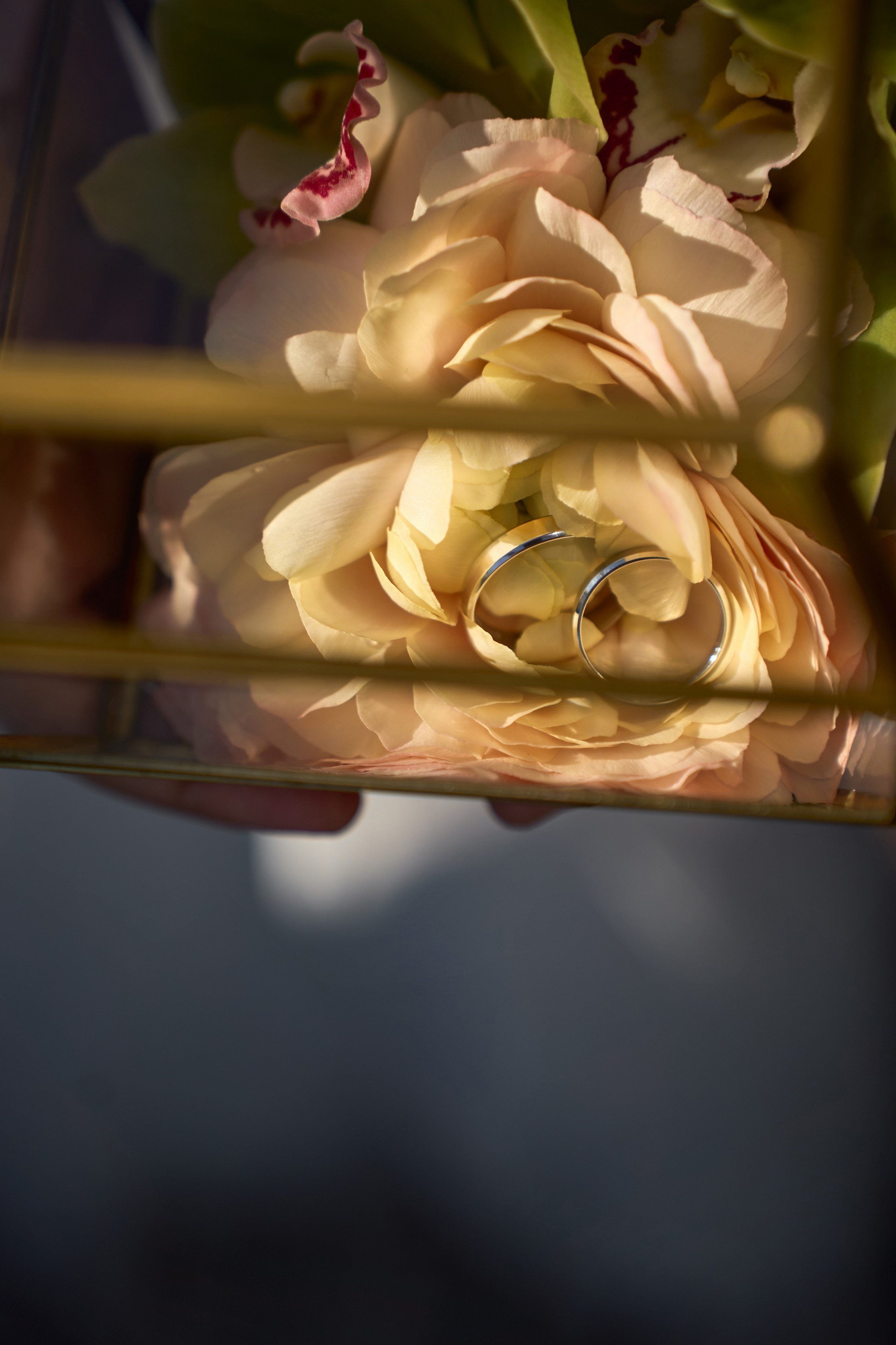 Лучшие свадебные фотографы Краснодара ТВИНС СТУДИО в Zagarro на Армянской свадьбе!. ТВИНС СТУДИО — лучшие свадебные фотографы и видеографы в Краснодаре