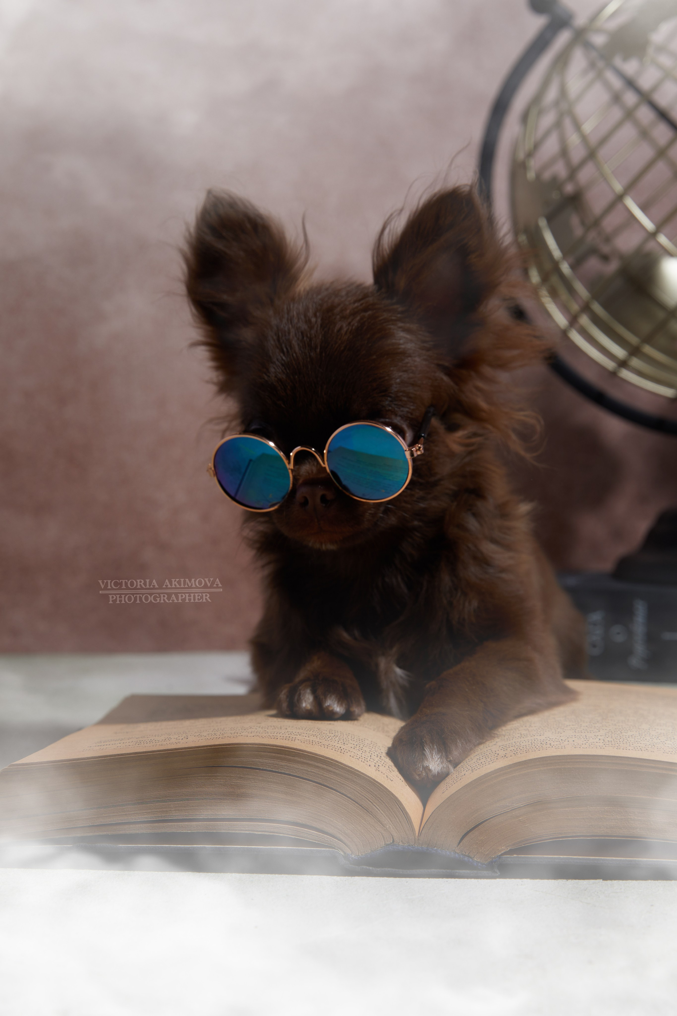 ЛЮБИМЦЫ. ФОТОГРАФ И РЕТУШЕР В МОСКВЕ ВИКТОРИЯ АКИМОВА