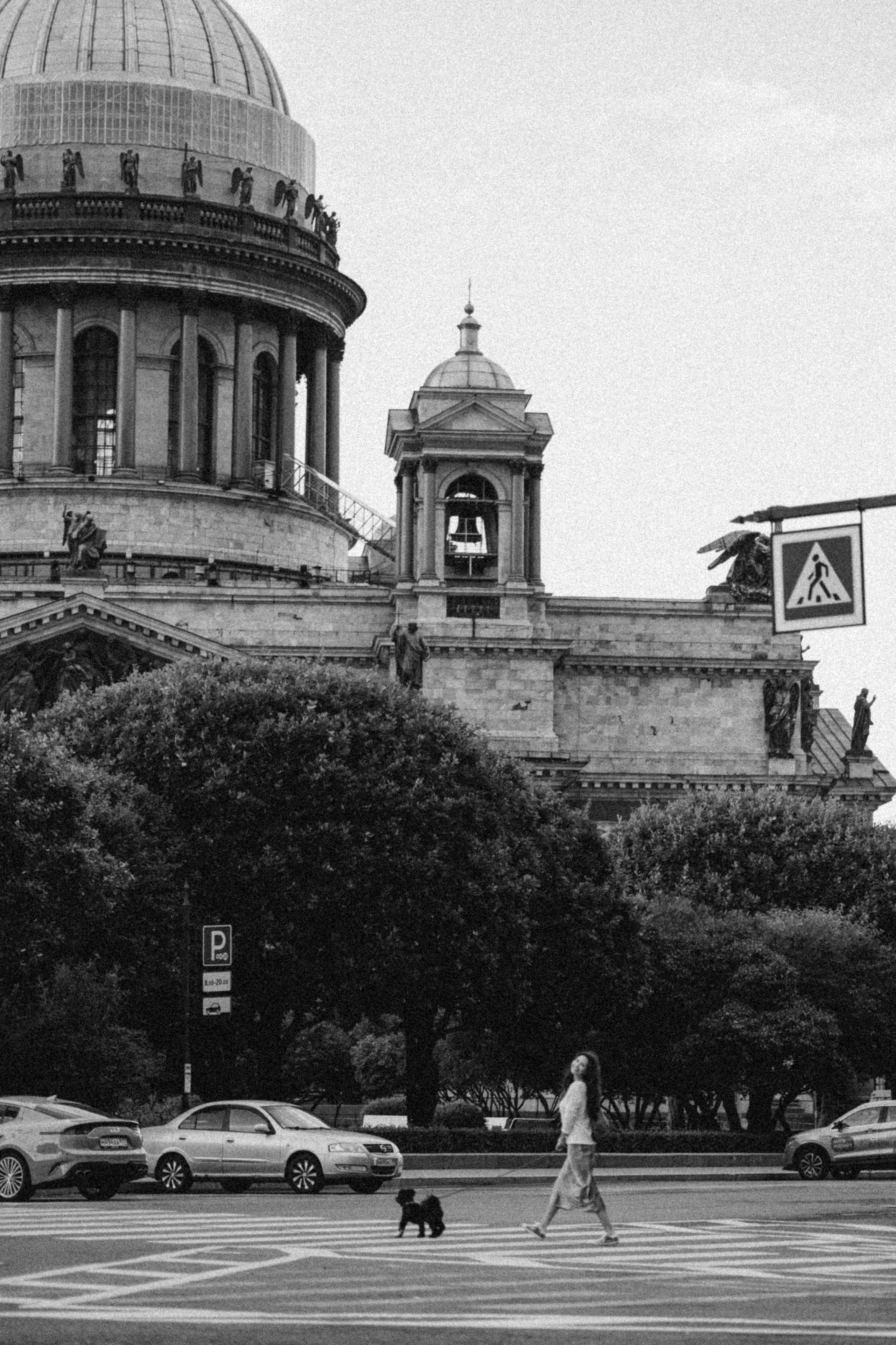 Даша и Борис. Фотограф — Анималист | Санкт-Петербург