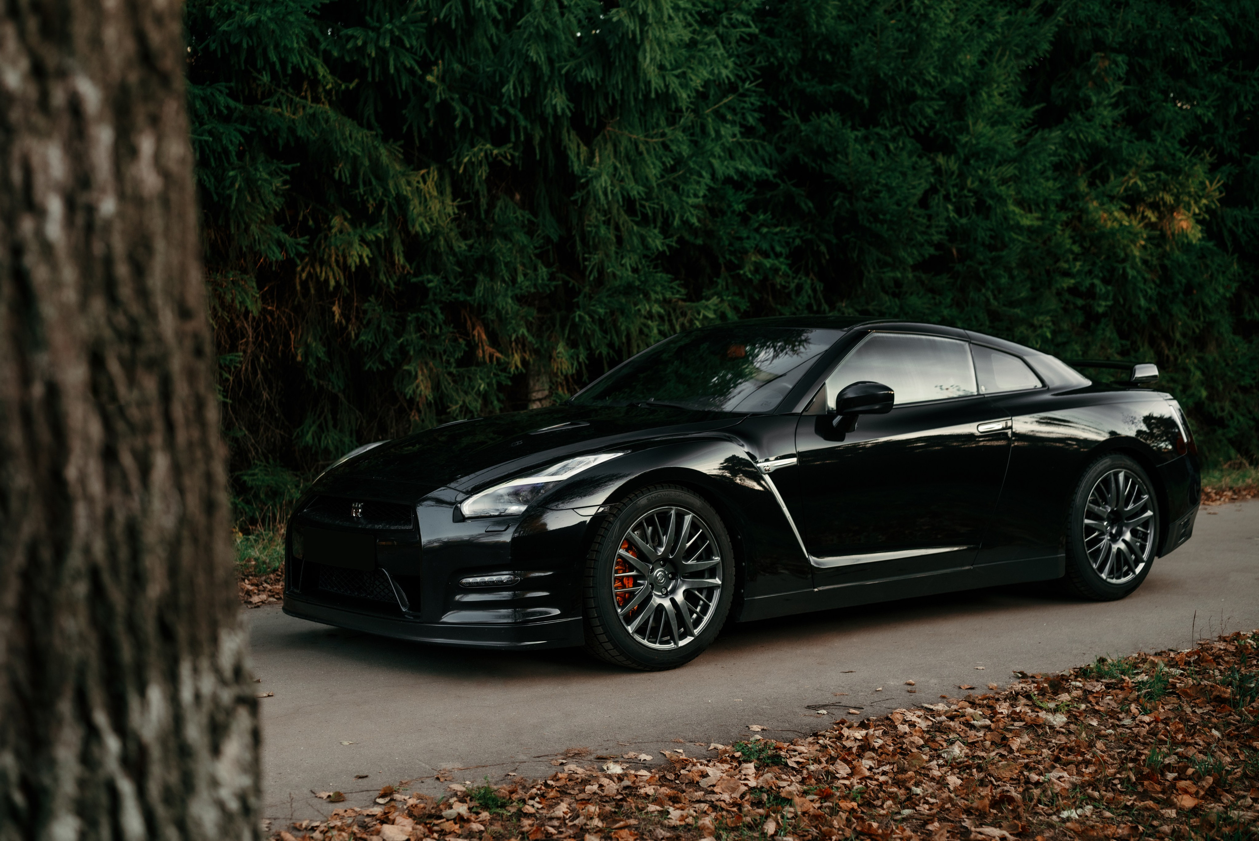 Nissan GT-R35 autumn vibe. DeLorein