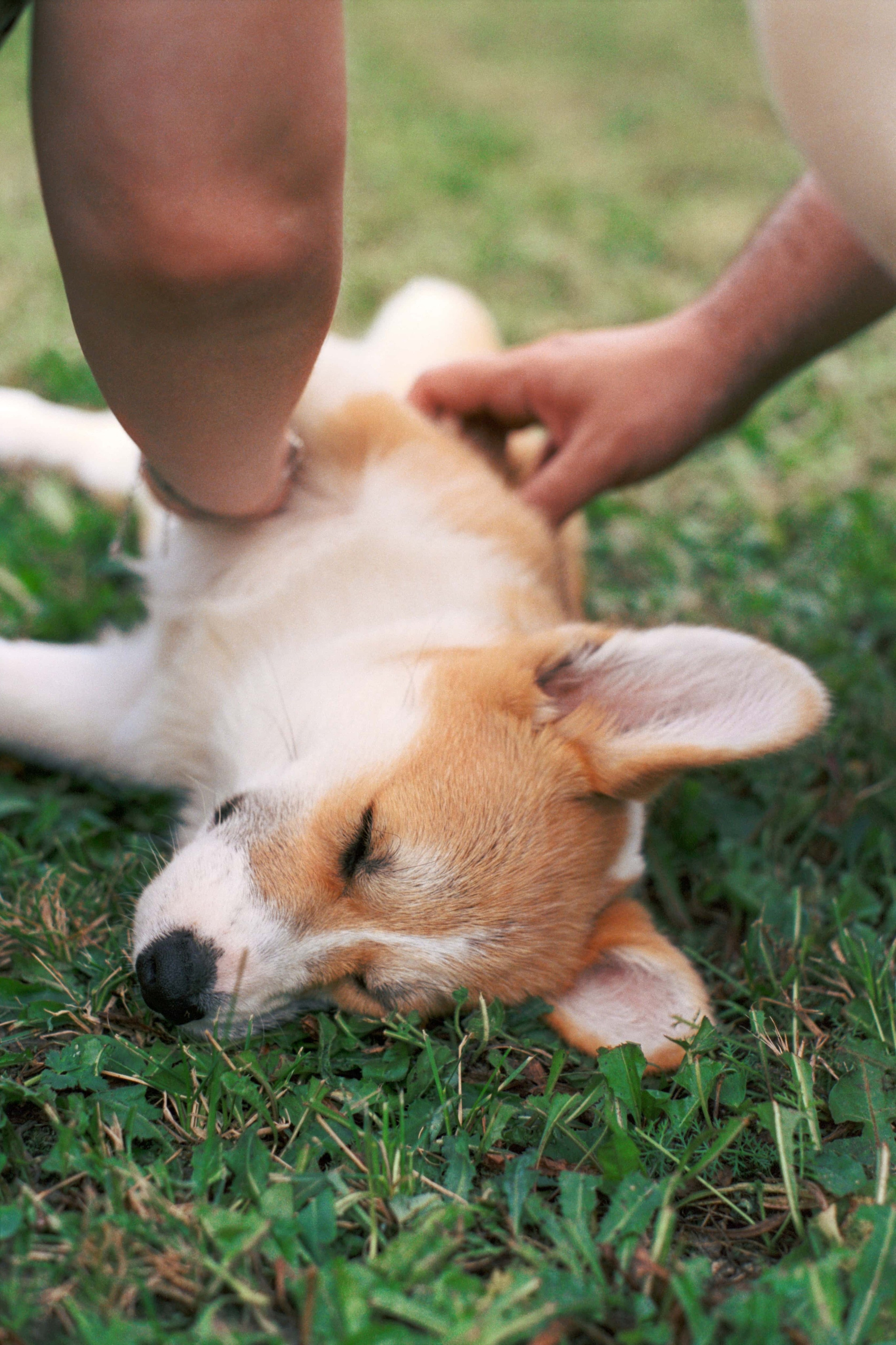 E&V&G. Stylist and film photographer Anastasia Shlokova