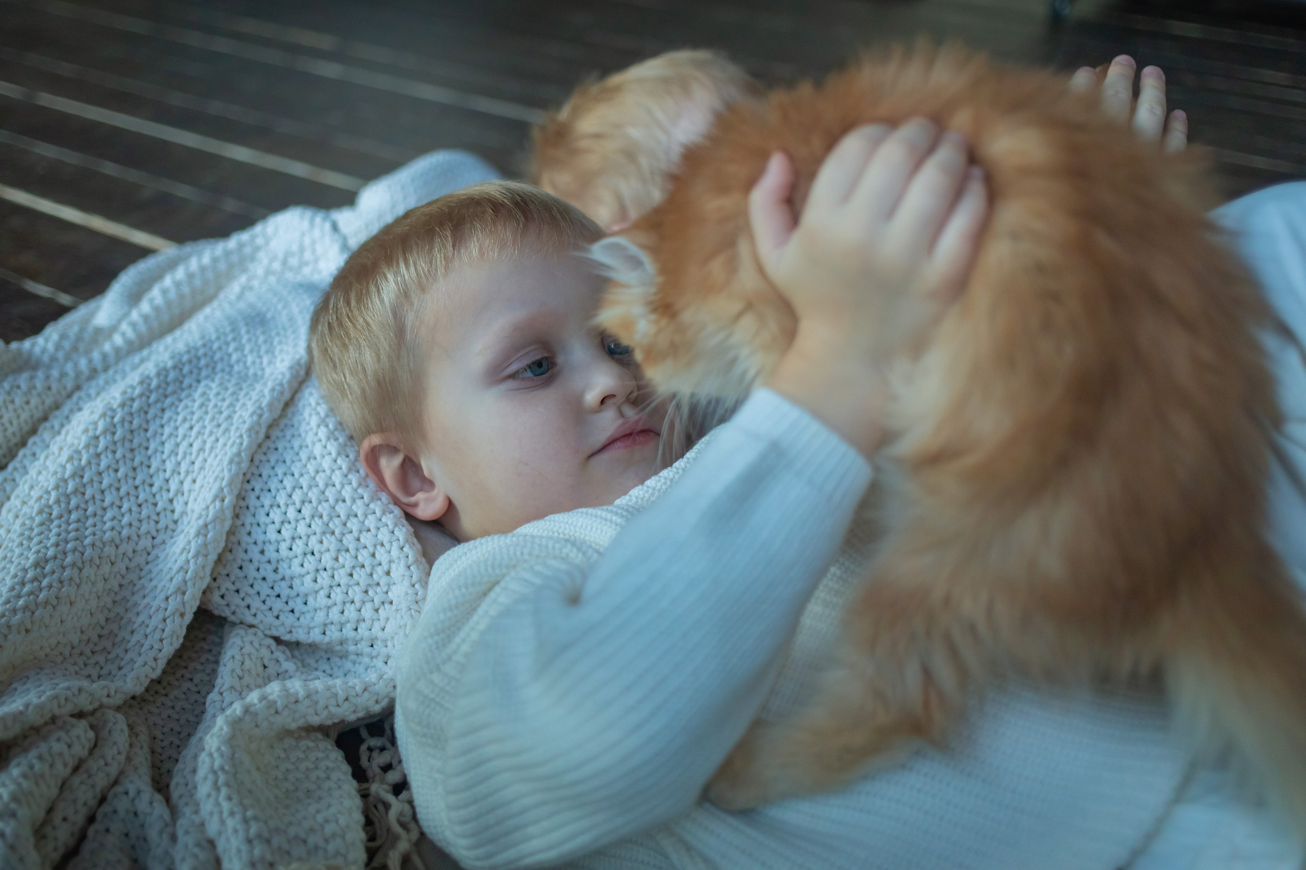 Детская фотосессия с котятками в студии в СПБ