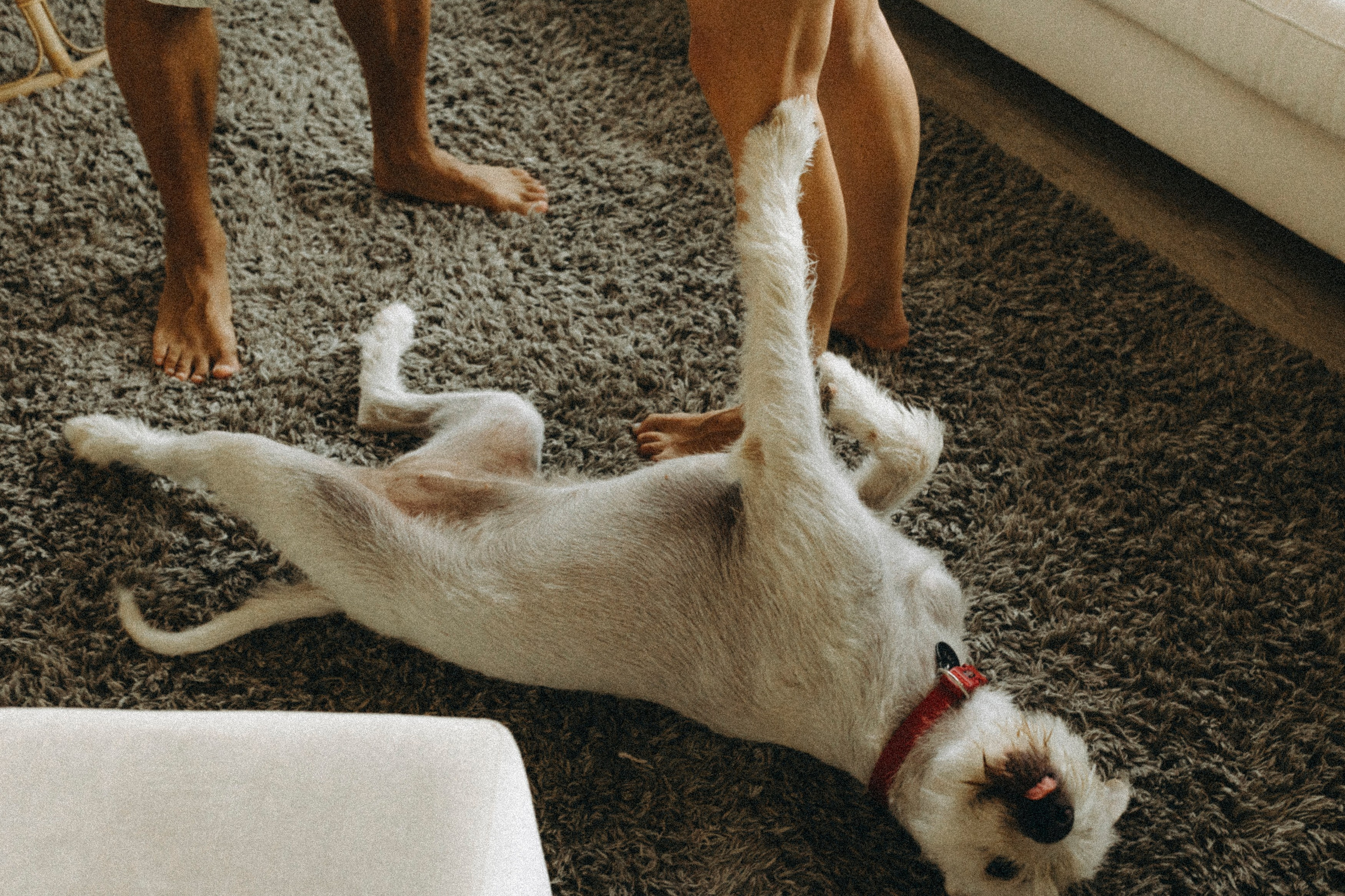 Nastya and Kostya. Katerina Nord | Wedding and Couple Photographer in Germany and Europe