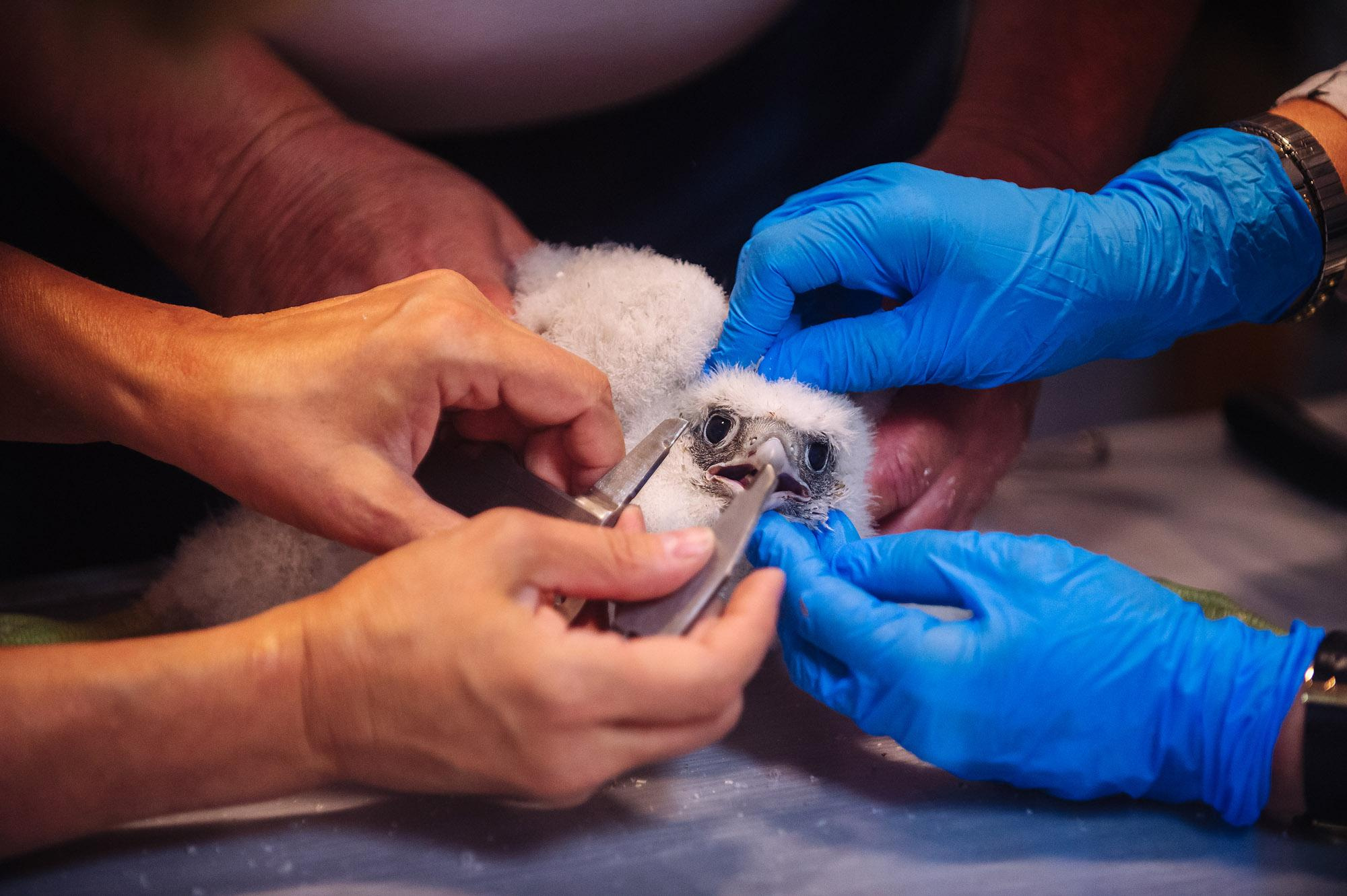 Репортаж. Спортивный фотограф в Уфе Евгений Буров