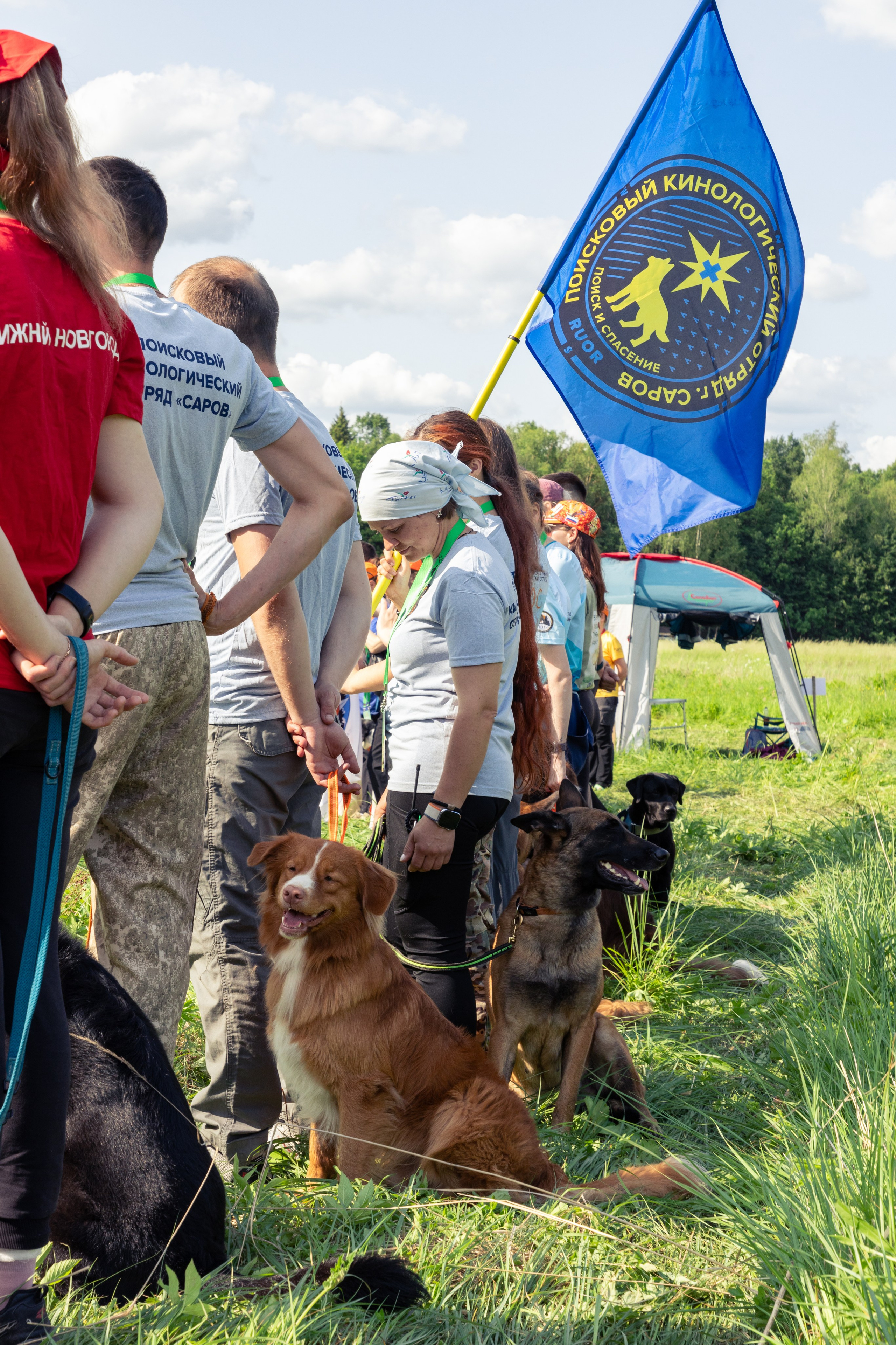 ДПСО «ЛизаАлерт». Главная