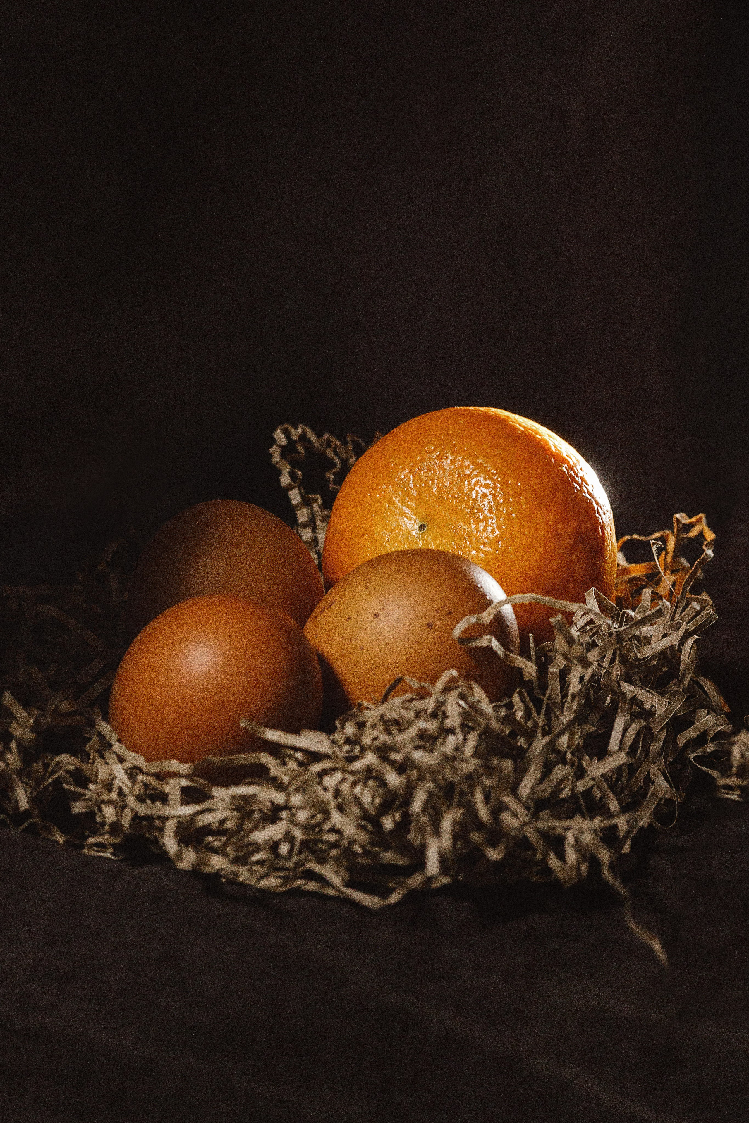 Проект «366»|2024|Фото каждый день. LENA GRACE photographer ||ЛЕНА ГРЭЙС фотограф