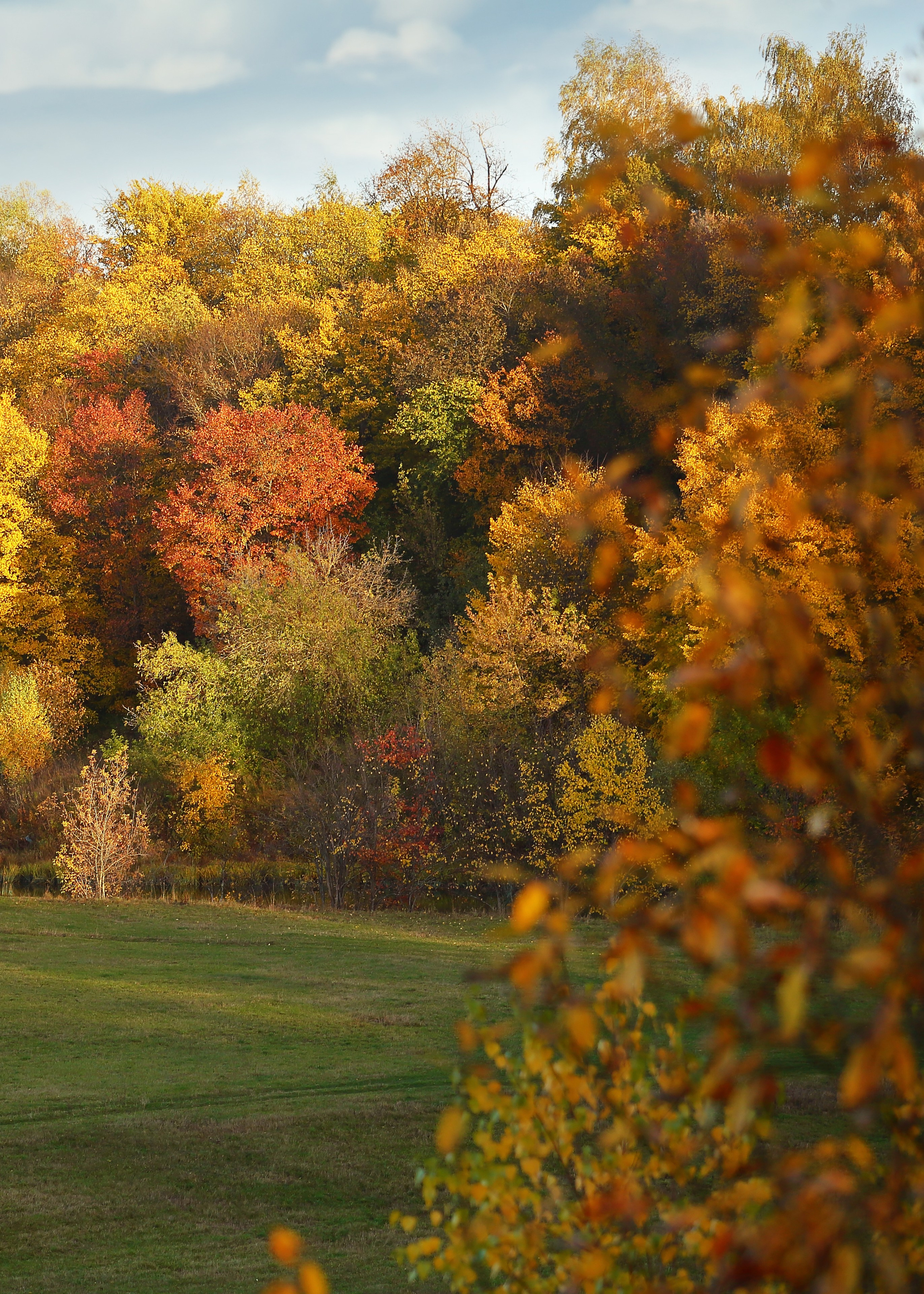 Средняя полоса. Свадебный и репортажный фотограф в Ярославле и Санкт-Петербурге Роман Микрюков