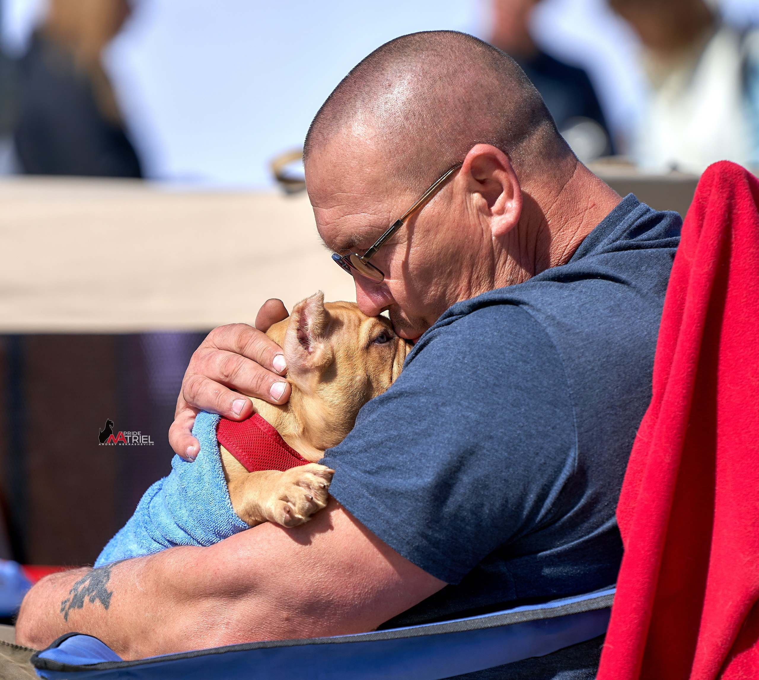 Собаки и Люди — галерея NATRIEL