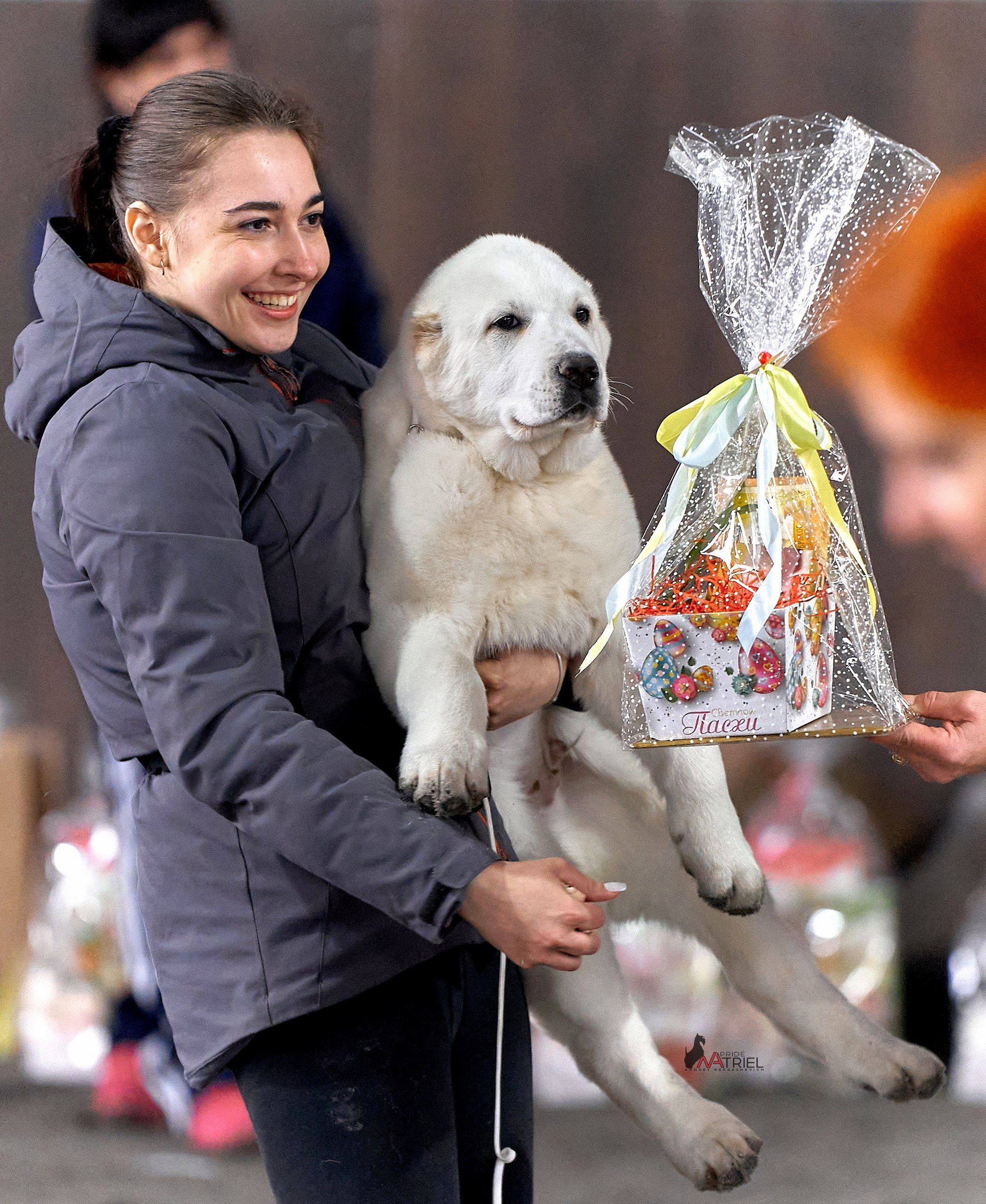 Призовые места — галерея NATRIEL