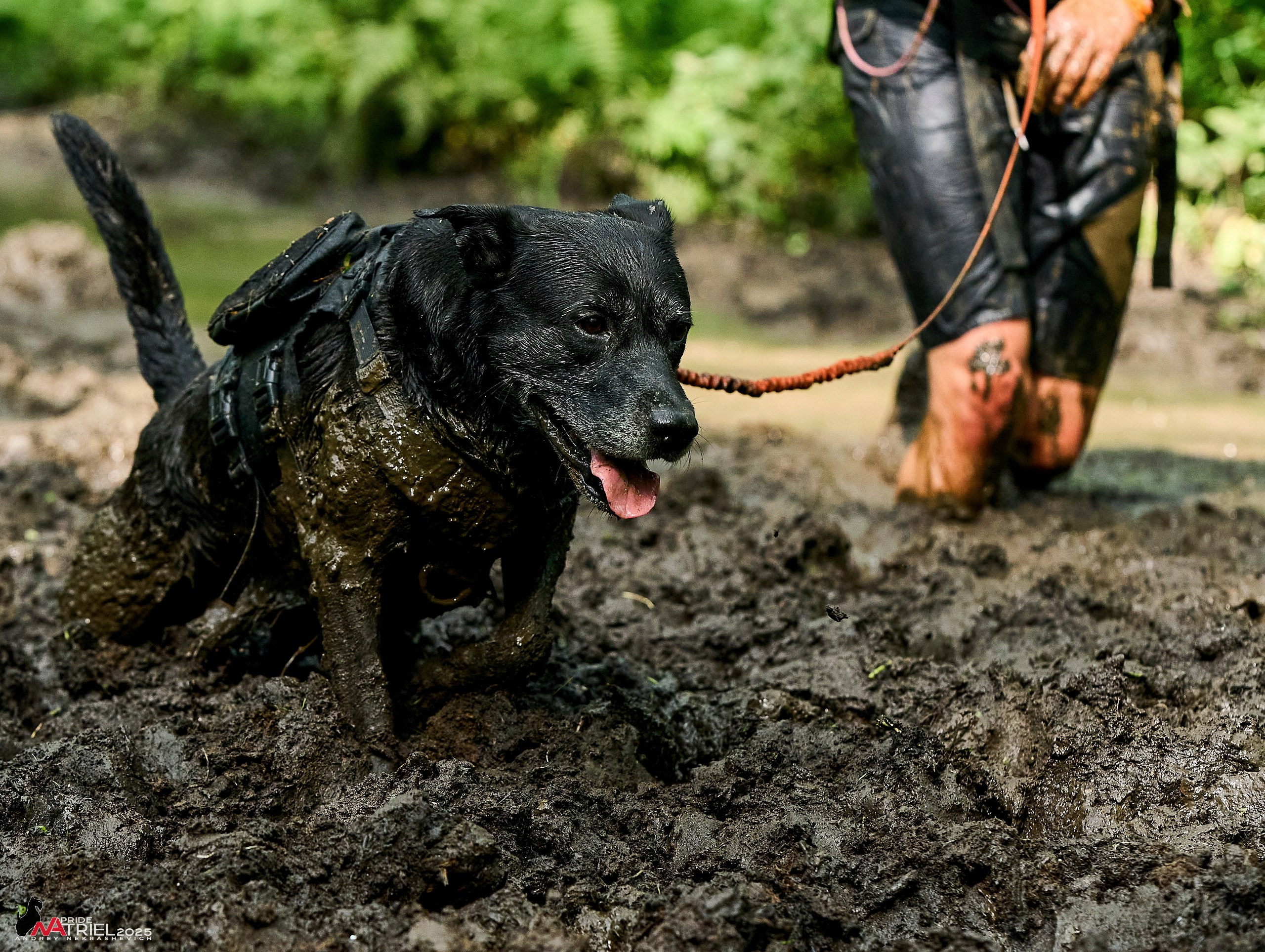 Russian Extreme Dog Trail — 2025