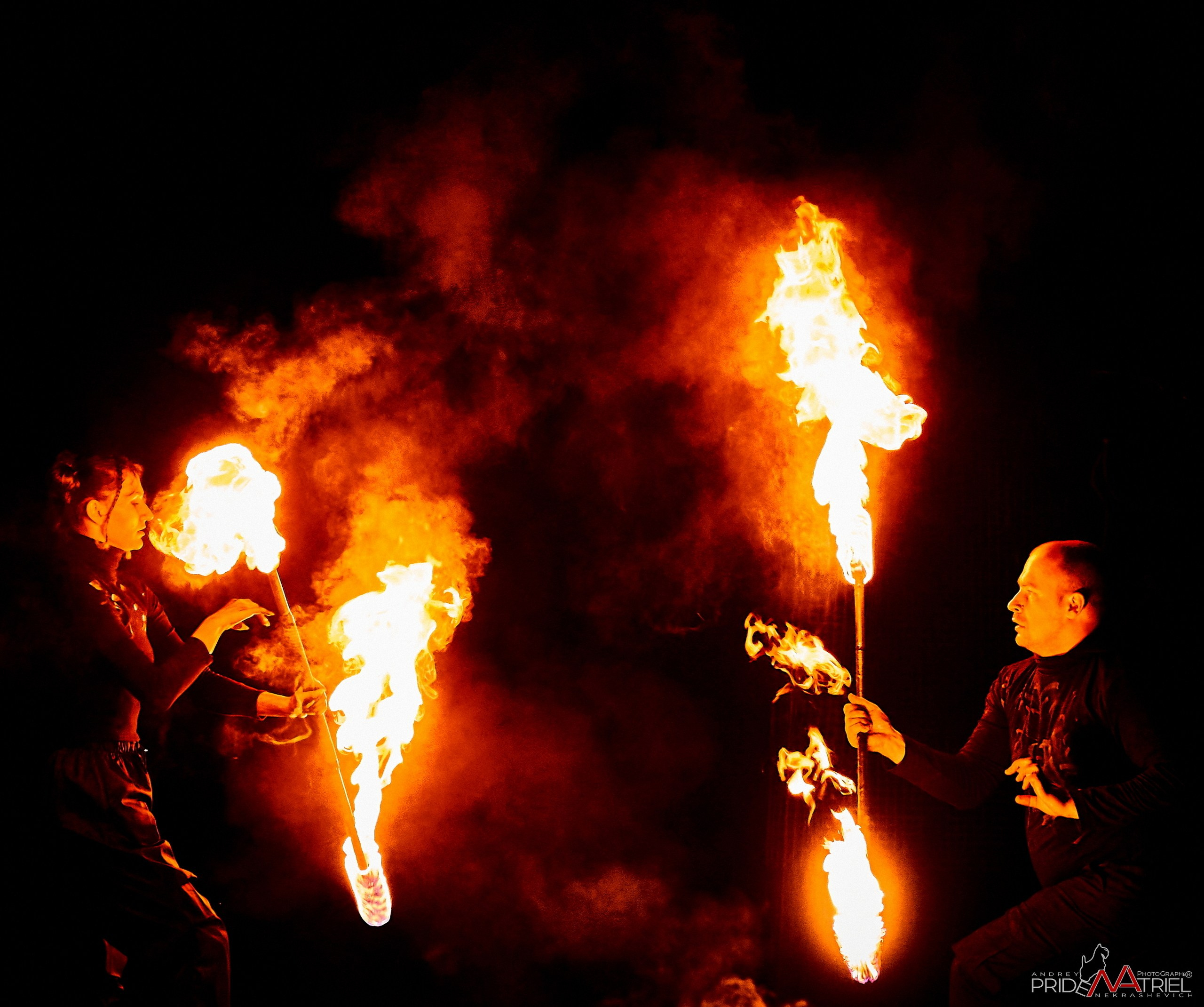 Огонь, Ветер, Вода, Земля — галерея NATRIEL