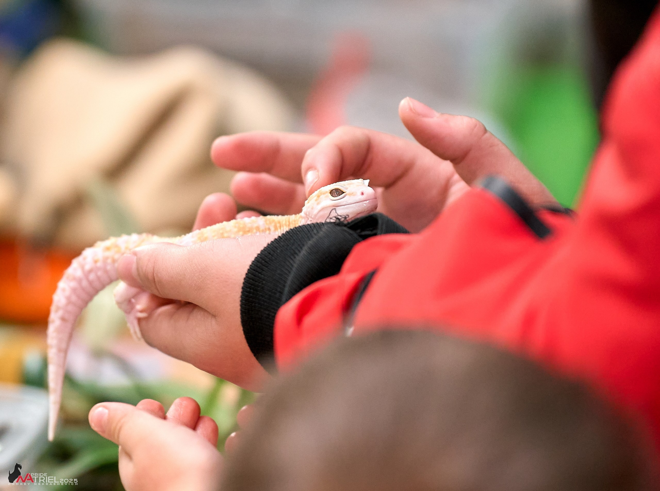 Репортаж с ЗООФЕСТ в Крокусе