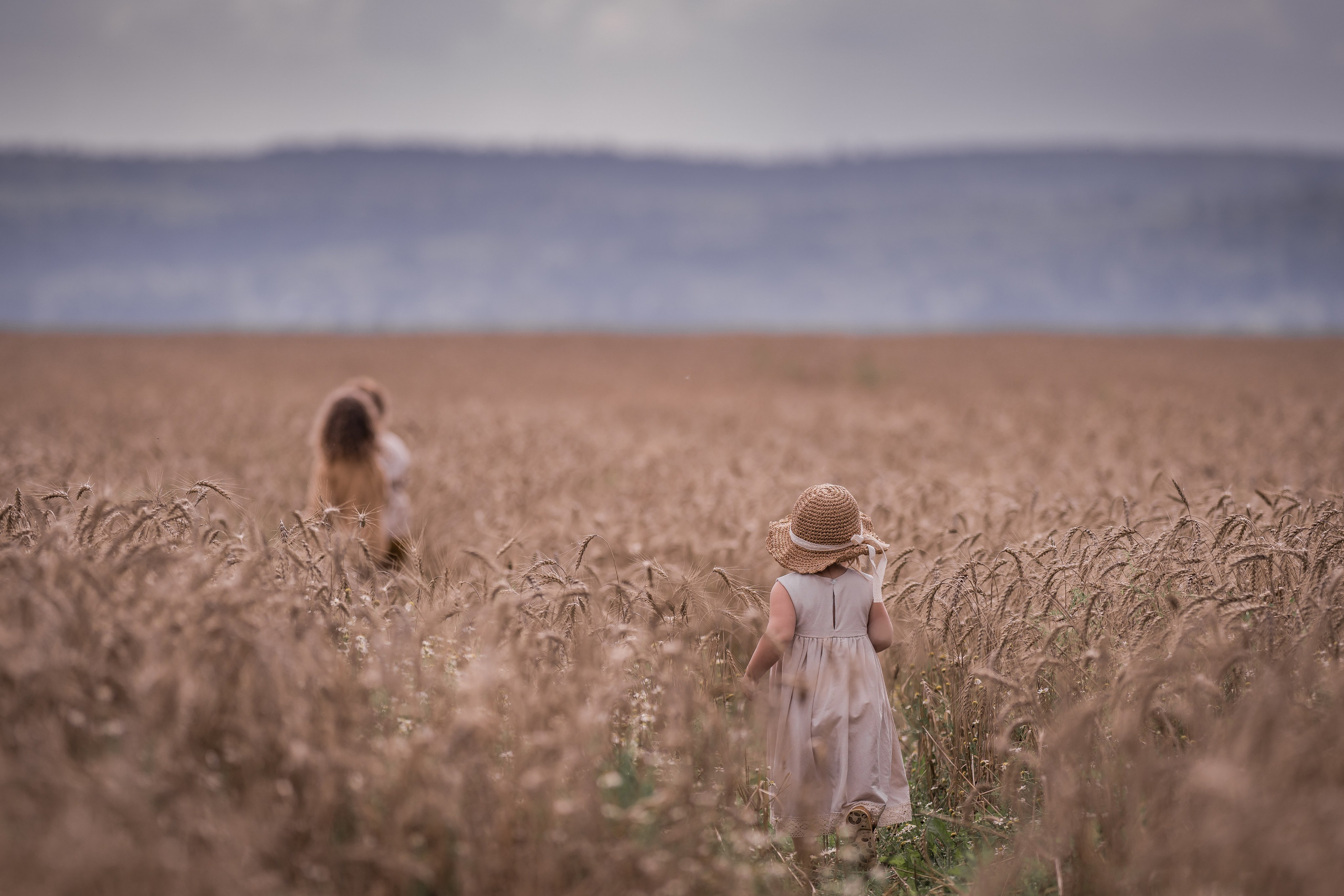 Пшеничное поле, август. Семейный фотограф Ефремова Виктория