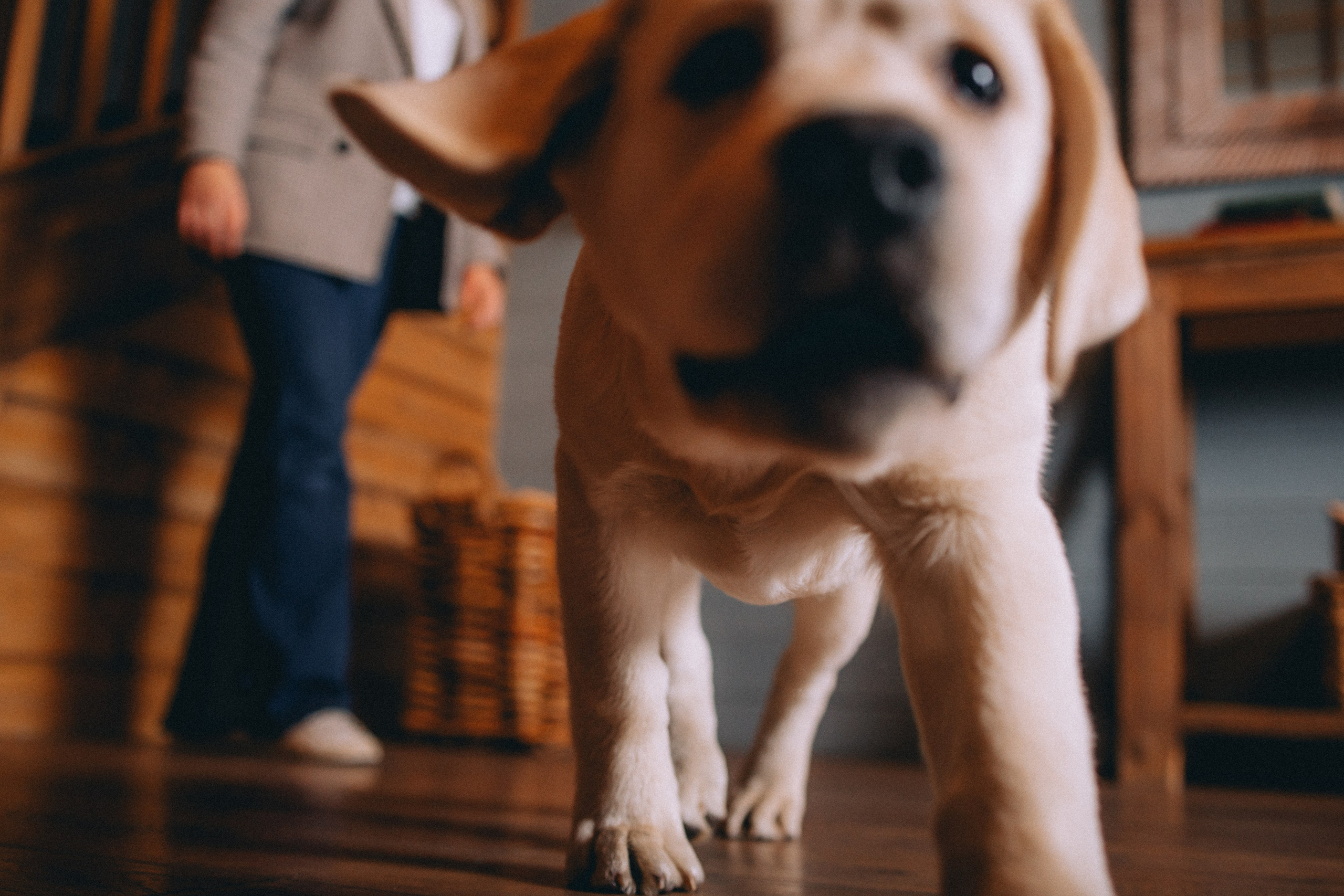 Ума, Берта и их семья