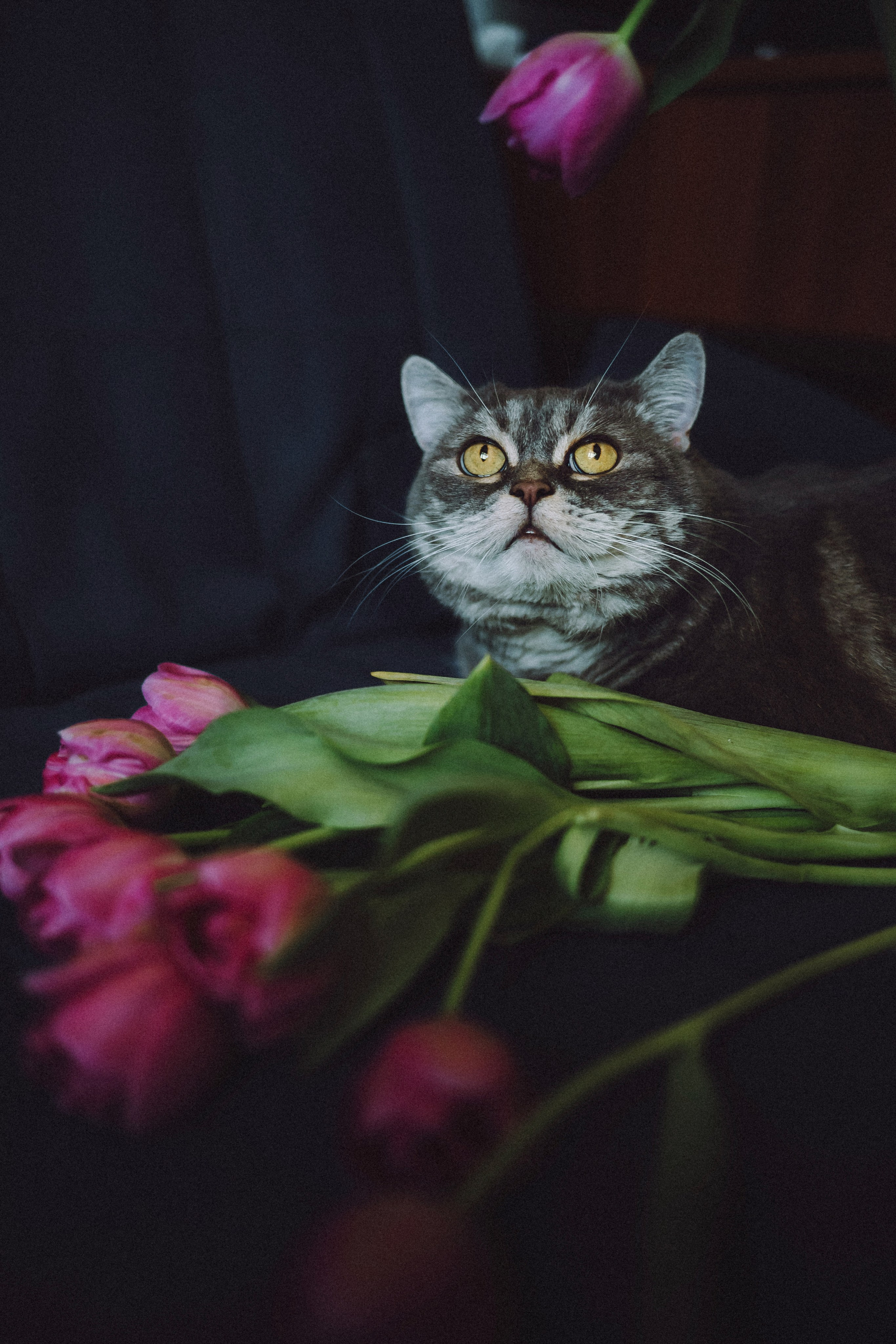 Яся и ее семья