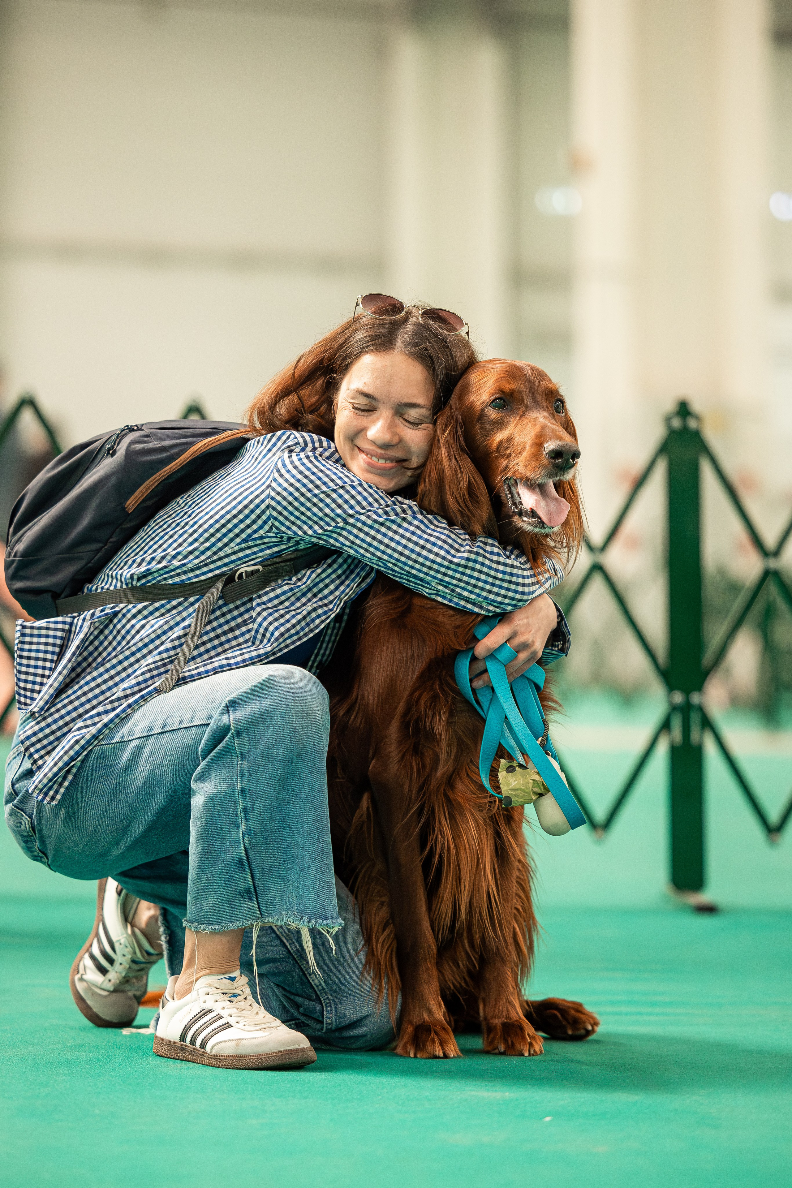 Выставка сеттеров 19.05.24