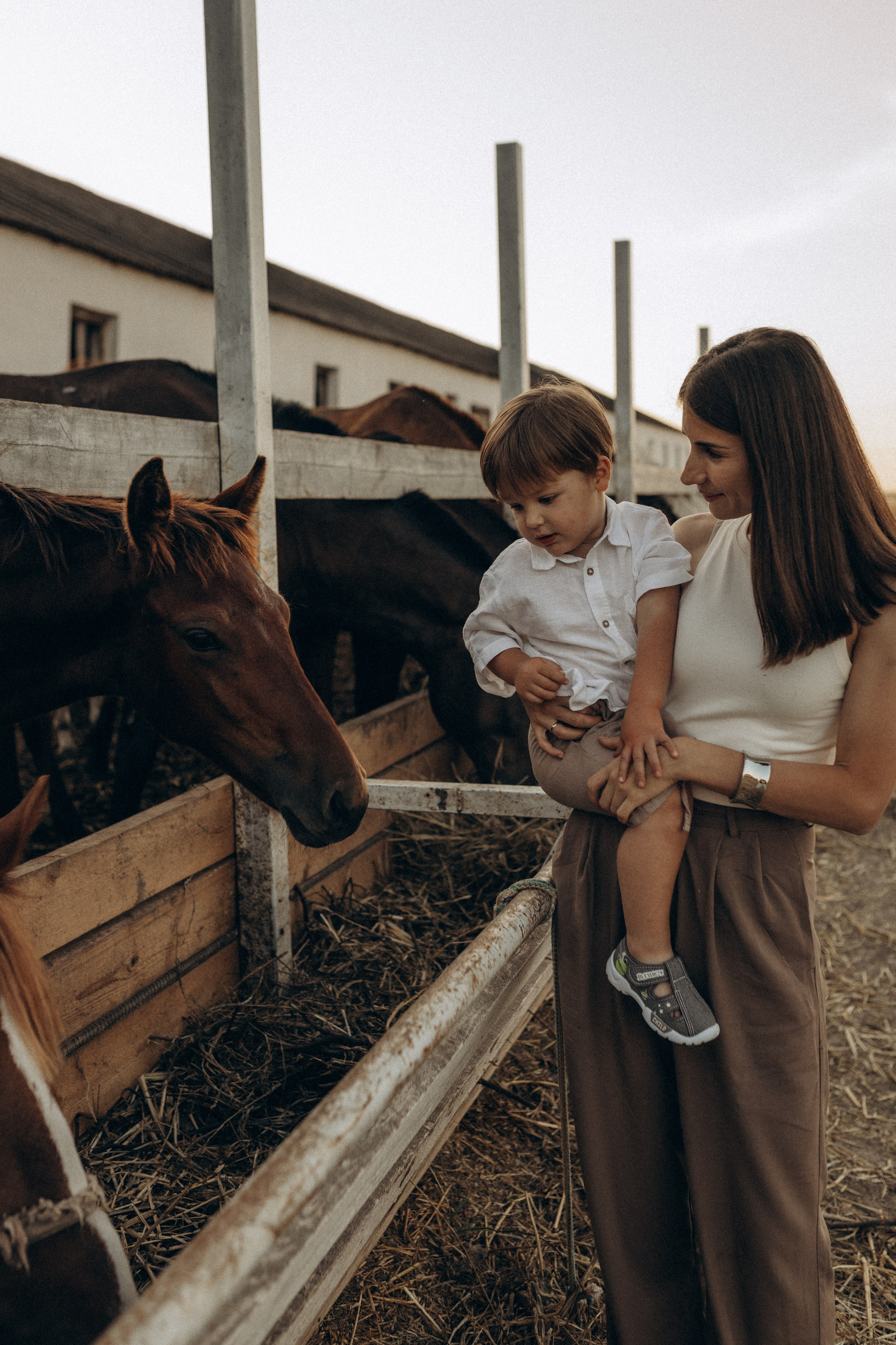Миша Таня и Лев на ферме. Семейный фотограф в Новороссийске и Анапе Александра Яковлева