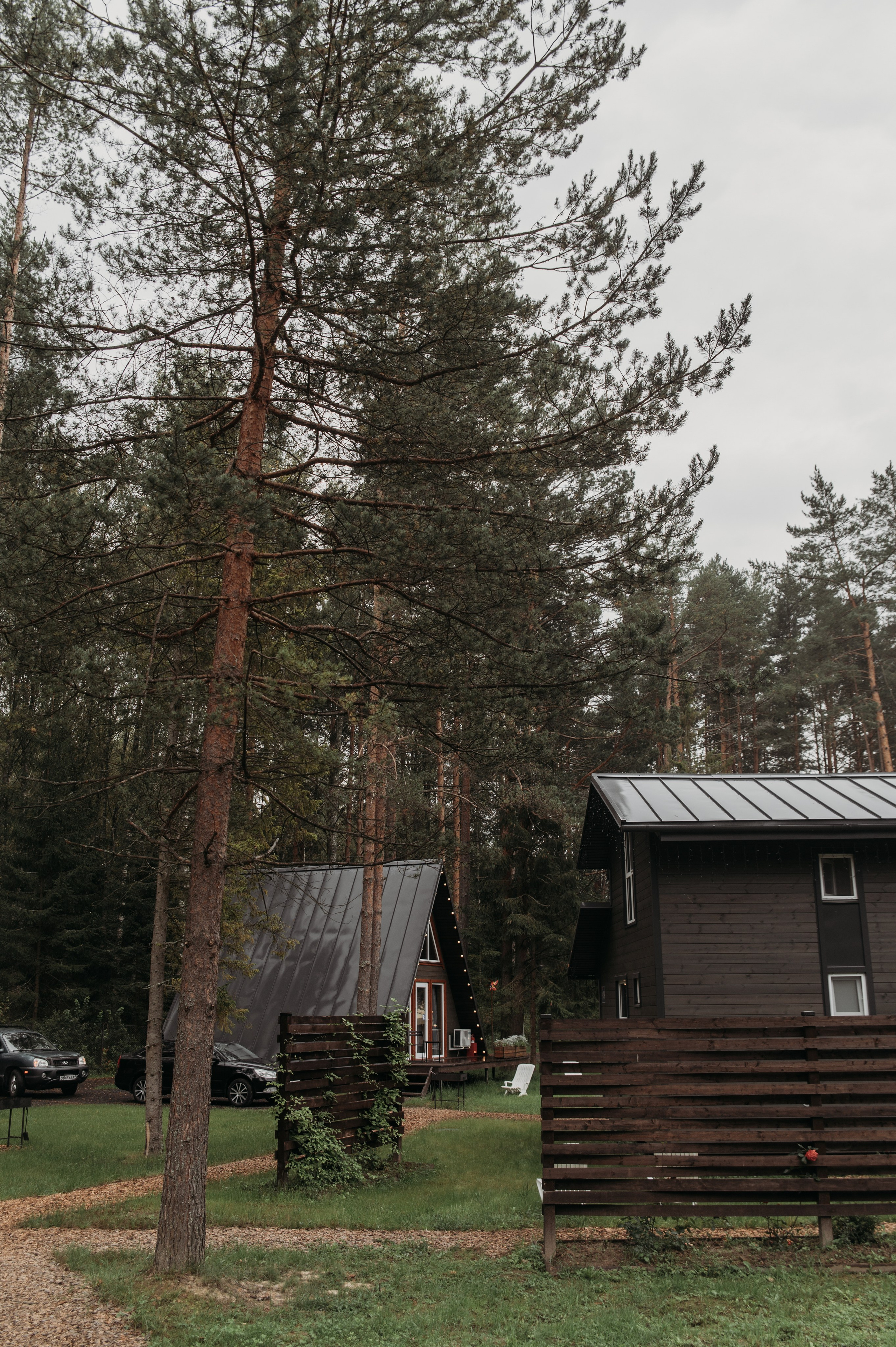 Свадебная фотосессия в Твери, Москве и Санкт-Петербурге. Свадебный фотограф в Твери, Москве и Санкт-Петербурге Денисова Екатерина