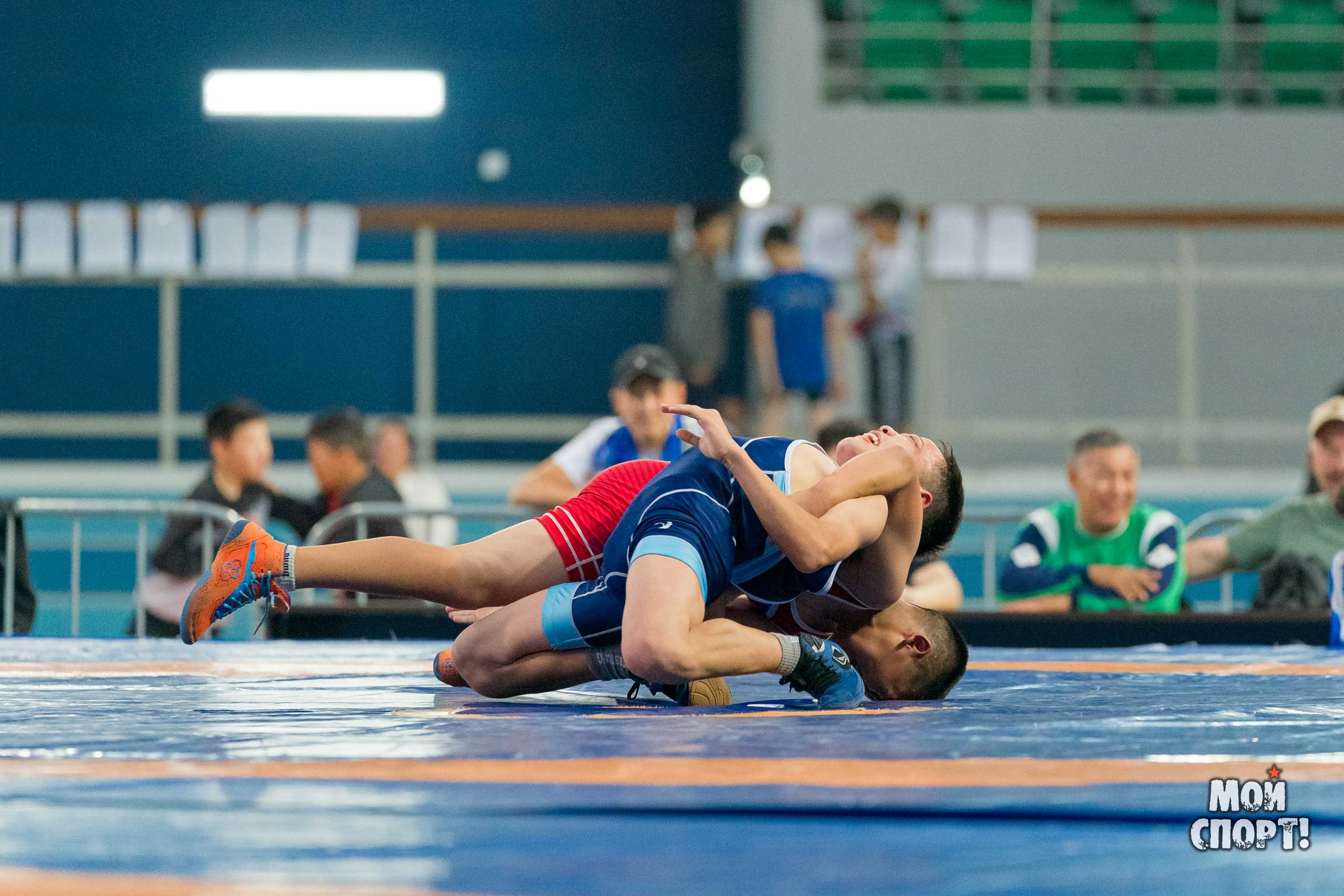 Соревнования по вольной борьбе в честь П. П. Пинигина. Студия «Мой Спорт!» — все о спорте в Якутии