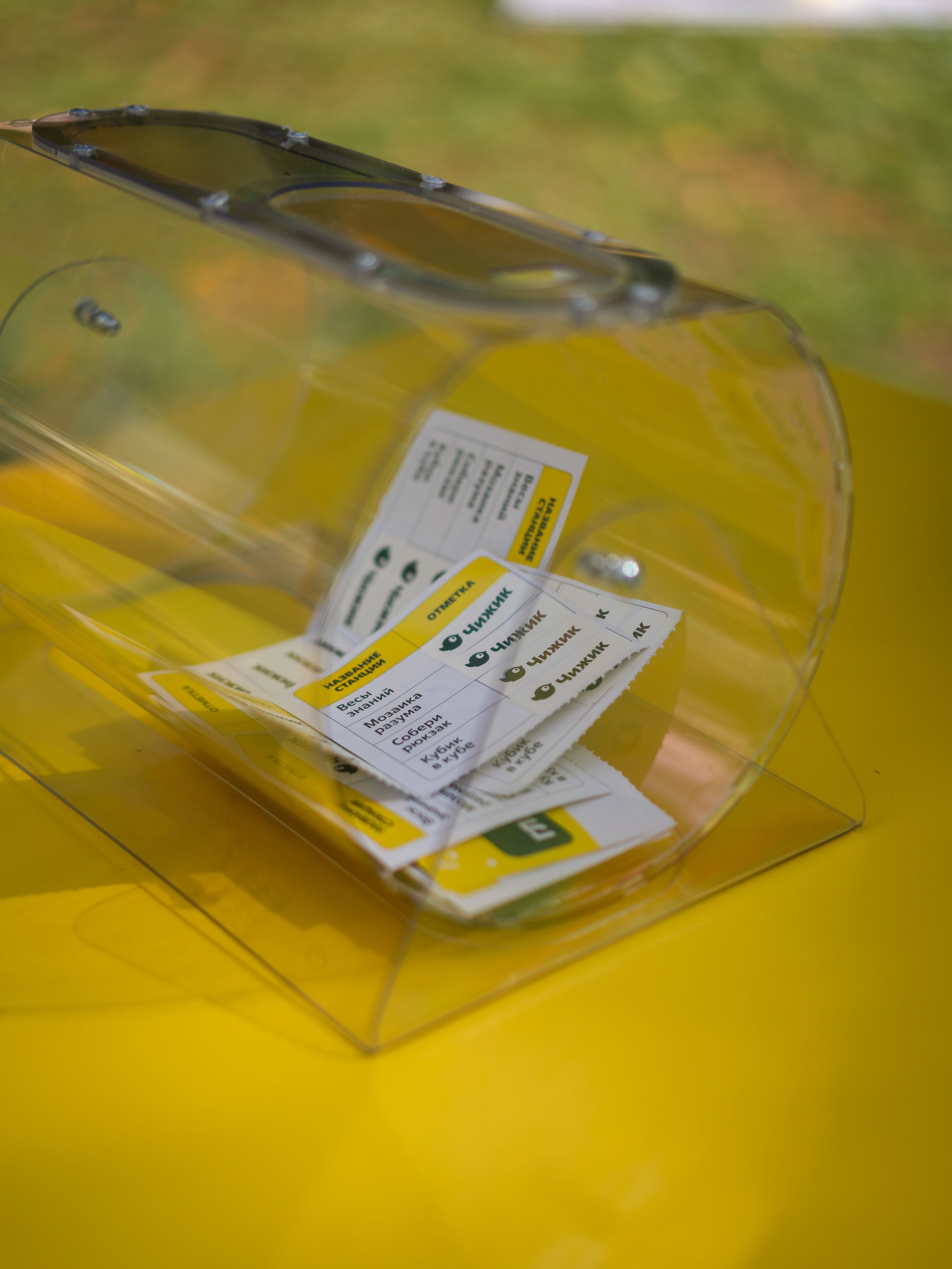 День знаний вместе с чижиком. Фотограф Москва