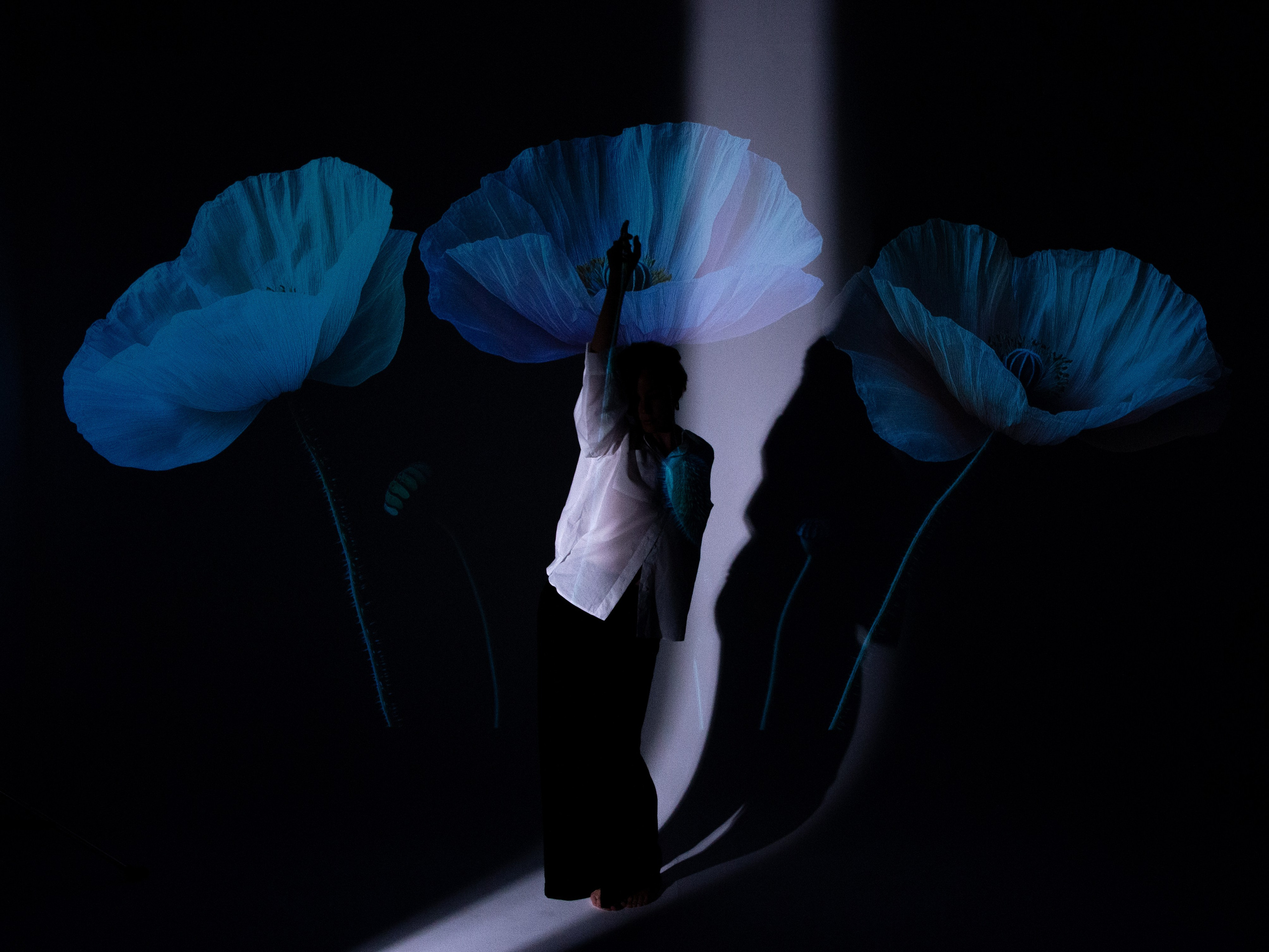 Свет. Фотограф — Маслеников Константин