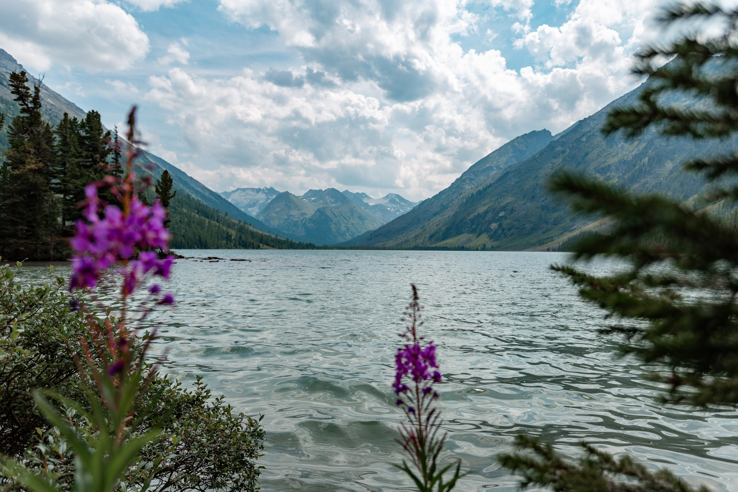 Катунский заповедник, Республика Алтай. Репортажный фотограф в Крыму Ксения Гасица