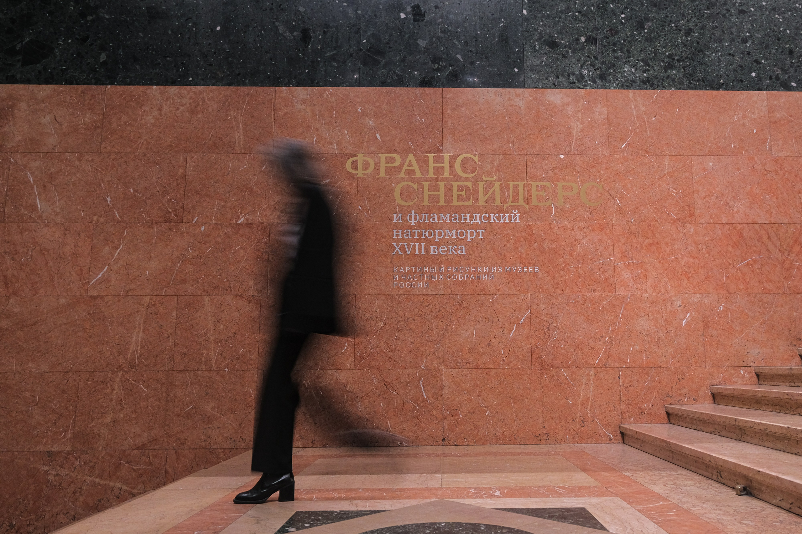 ГМИИ им. А. С. Пушкина, Выставка Франса Снейдерса. Репортажный фотограф в Москве Андрей Федоров
