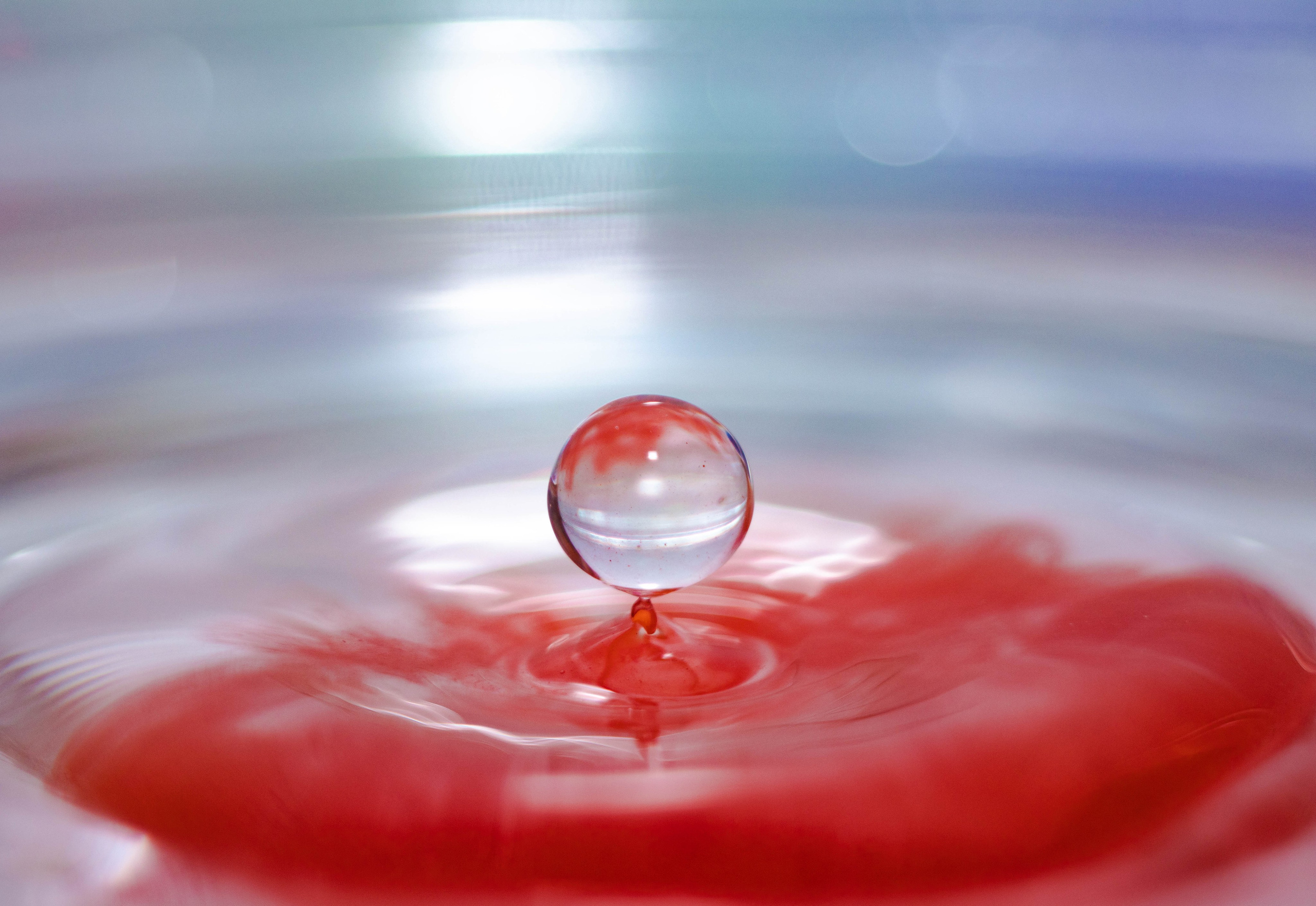 На досуге. Фотограф в Вязьме