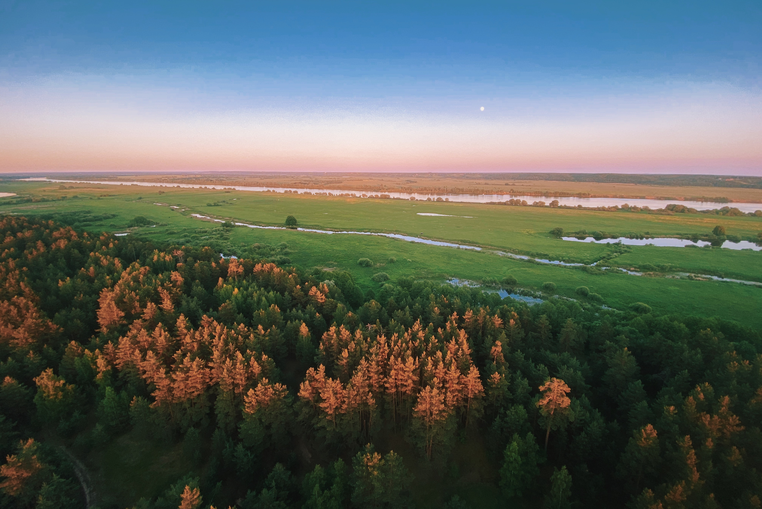 Московская область, закат над деревьями и лесом