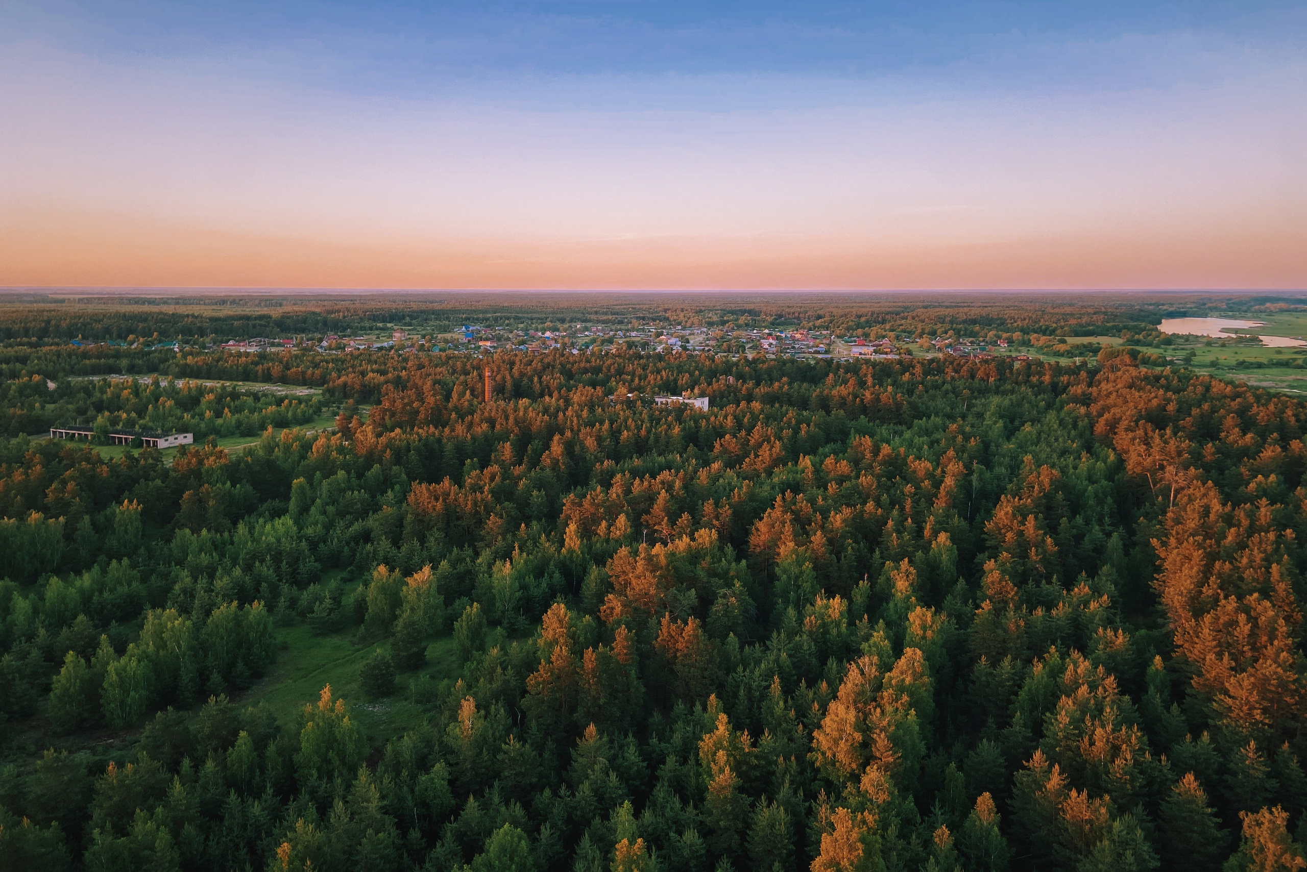 Московская область, закат над деревьями и лесом