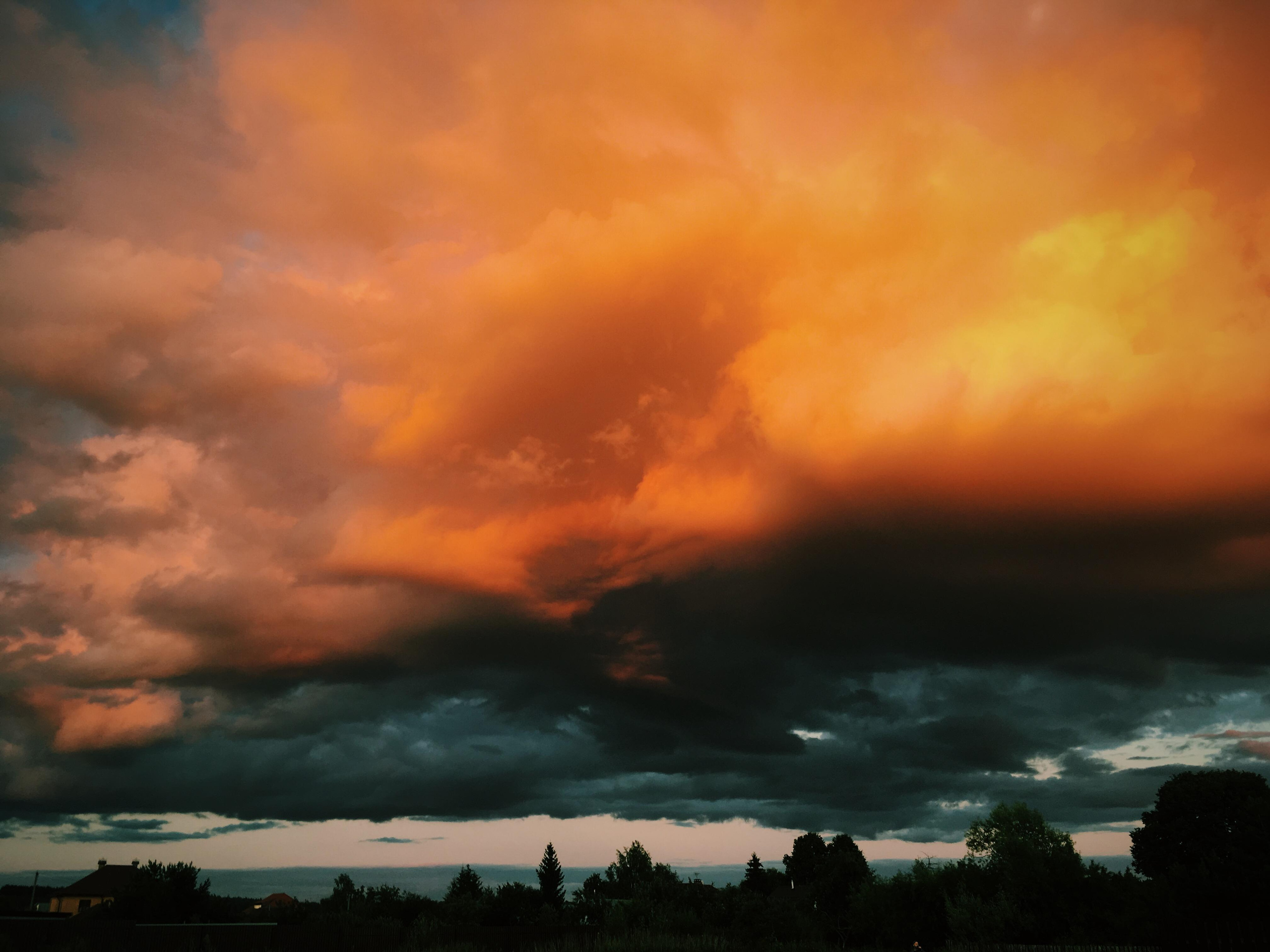 Закатное небо и облака над деревьями, Московская область