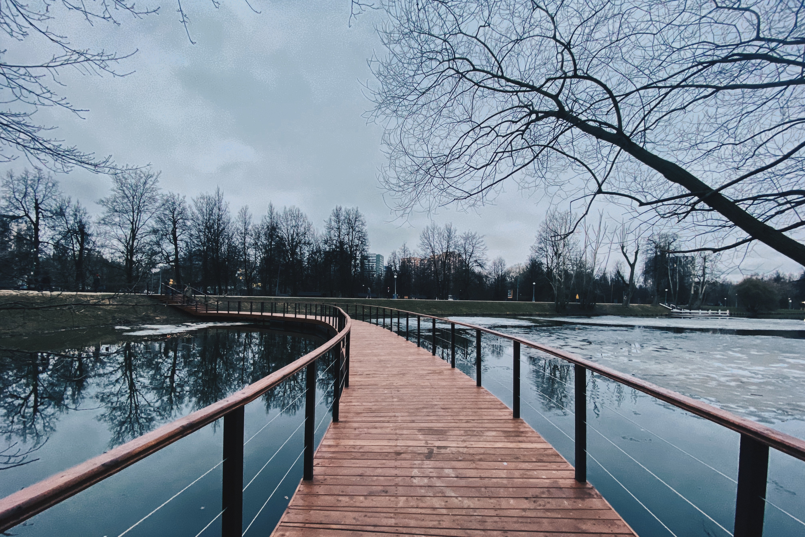 Мост через озеро в Воронцовском парке