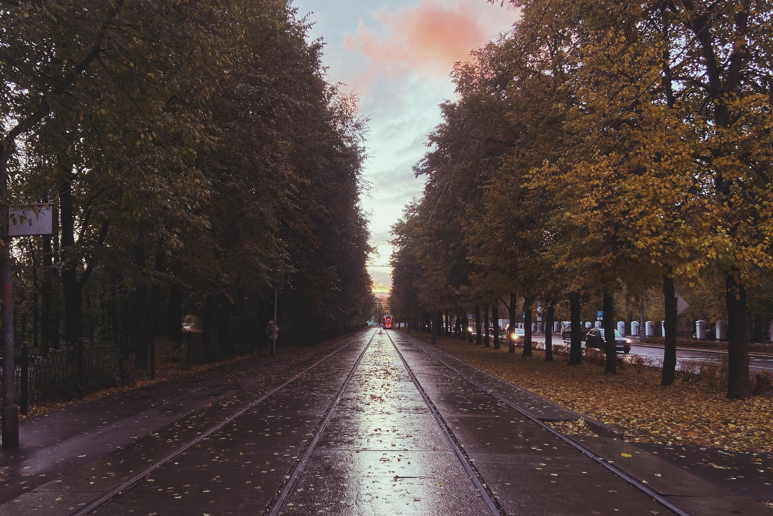 трамвайные пути на фоне мокрого асфальта и осенних деревьев, район Южное Тушино, Лодочная улица, Москва