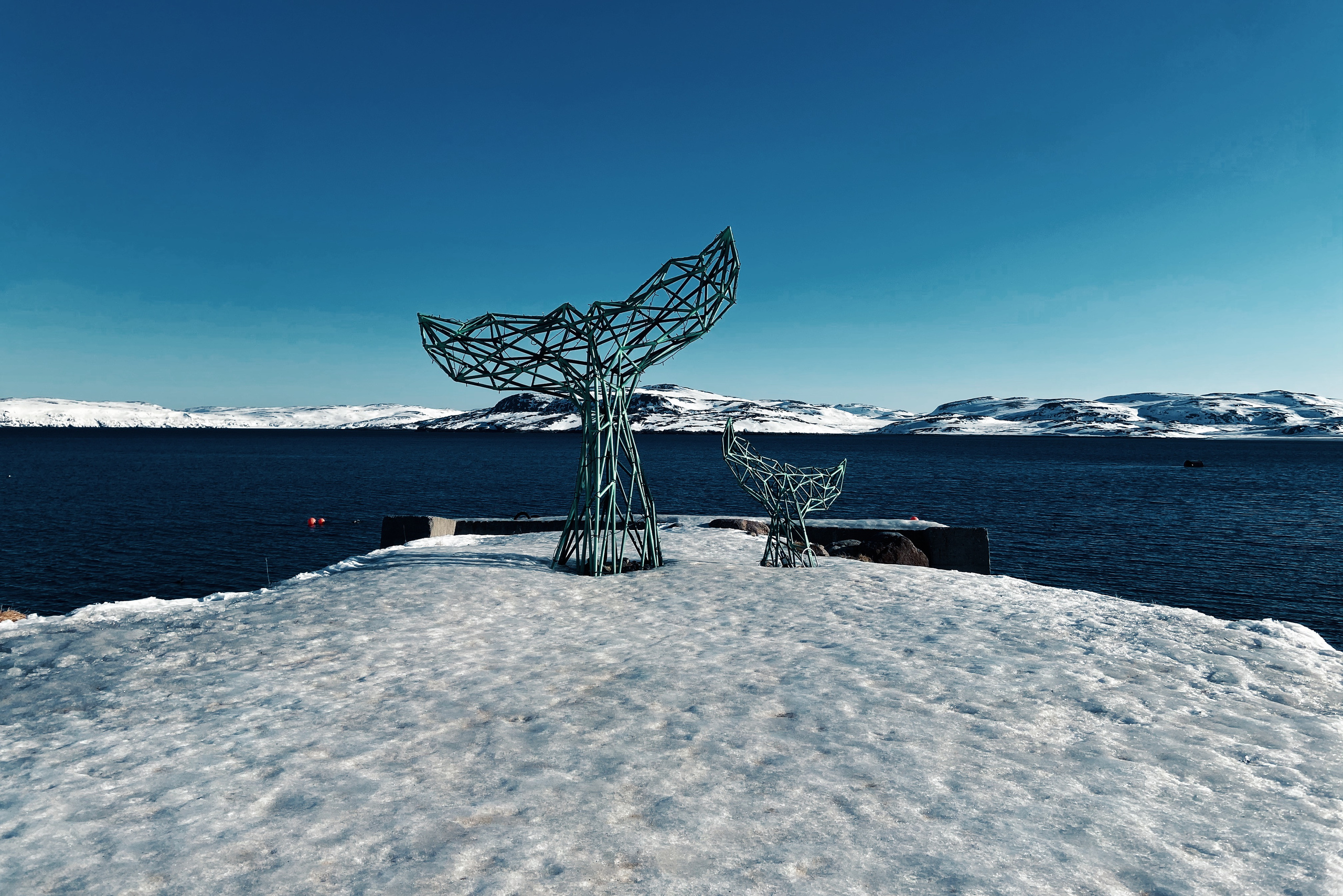 берег северного Белого моря, село Териберка, скульптура хвост кита